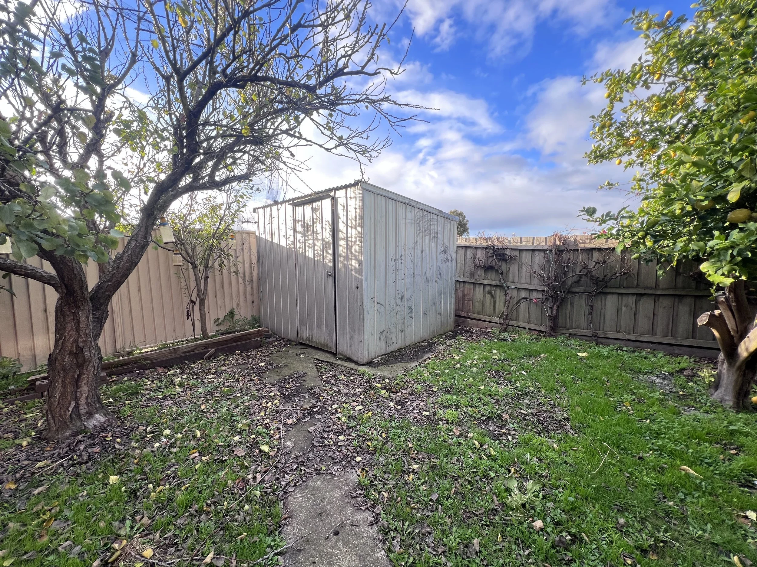 7 Nindoo Drive, Morwell - 16.jpeg