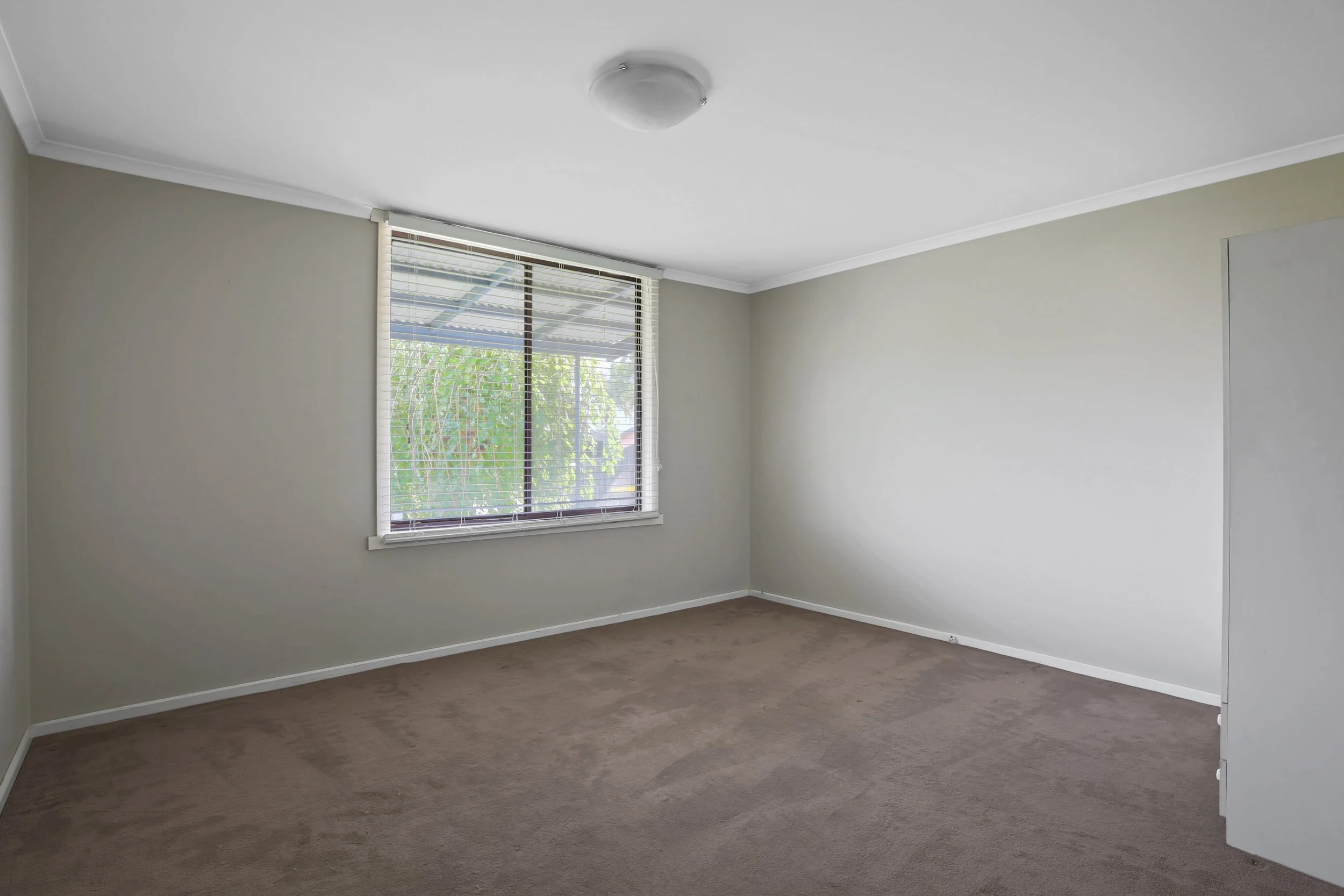 45DarlimurlaAvenue_04 (1).JPG