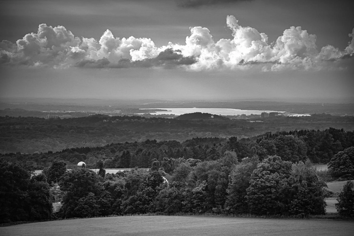 Black and white landscape featuring a foreground of trees and open field, rolling hills, a body of water in the distance, and a sky filled with large fluffy clouds.