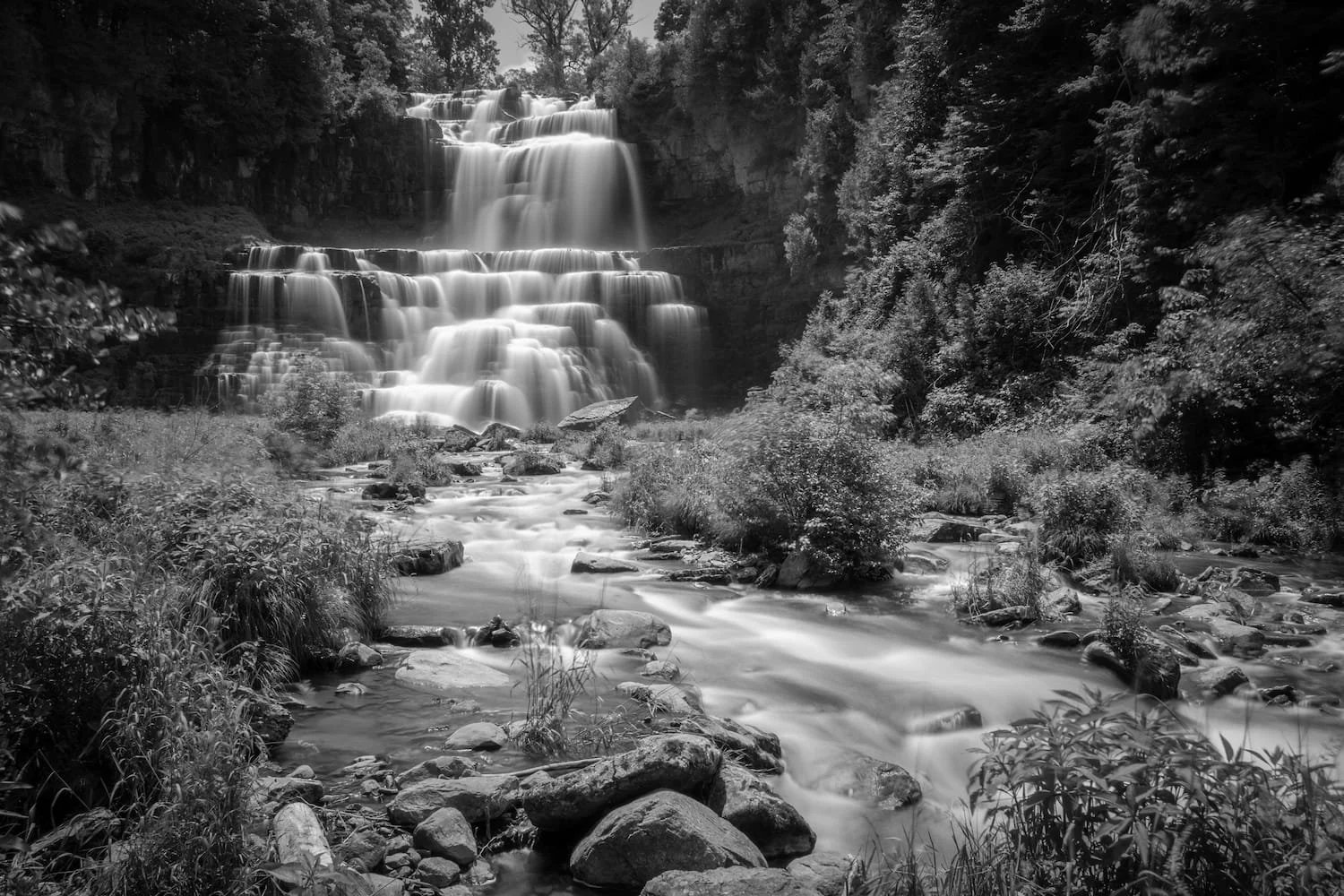 Black and white photograph of a cascading waterfall flowing into a river with rocks and lush trees on both sides.