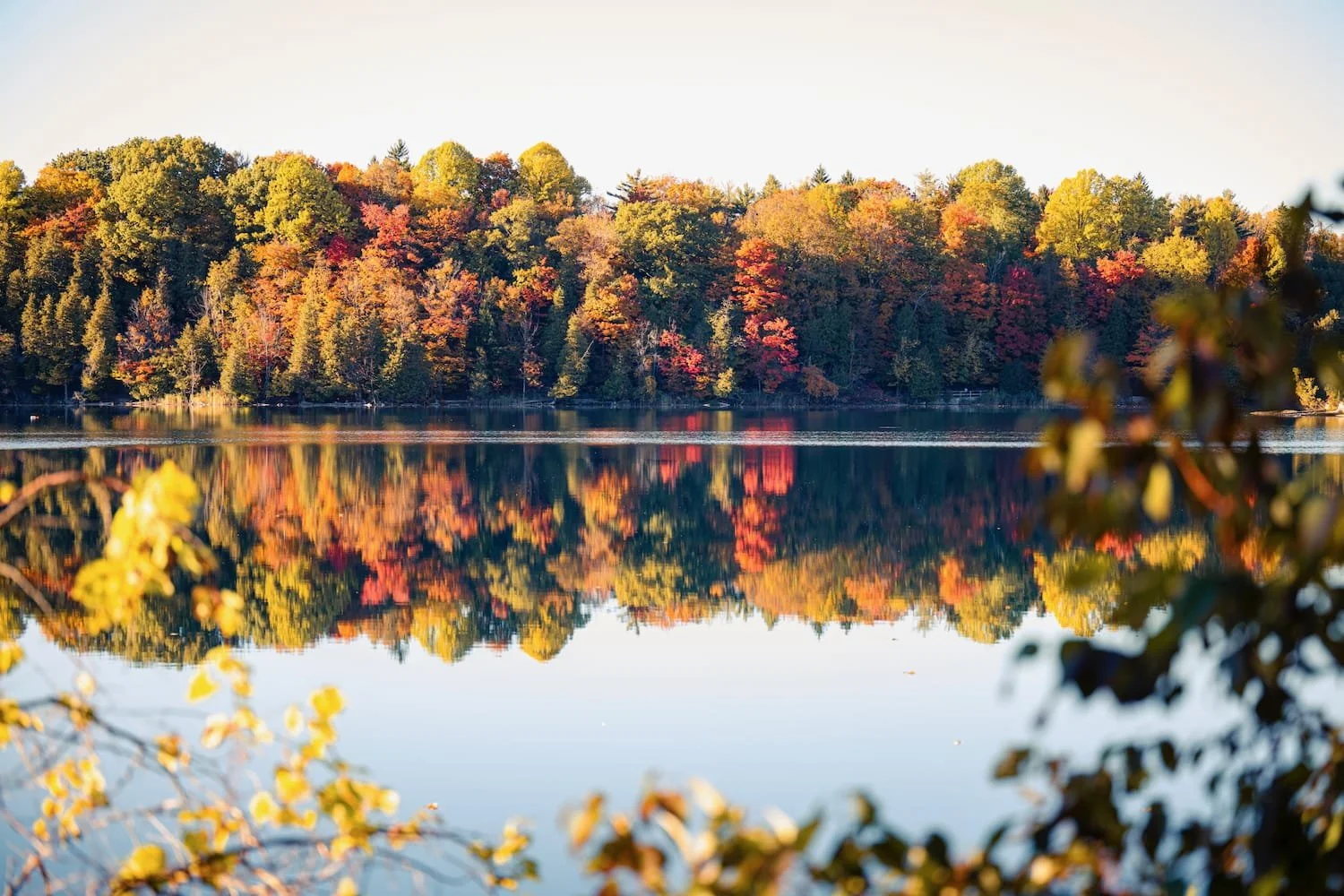 A serene lake reflecting trees with autumn foliage, with some blurred branches in the foreground.