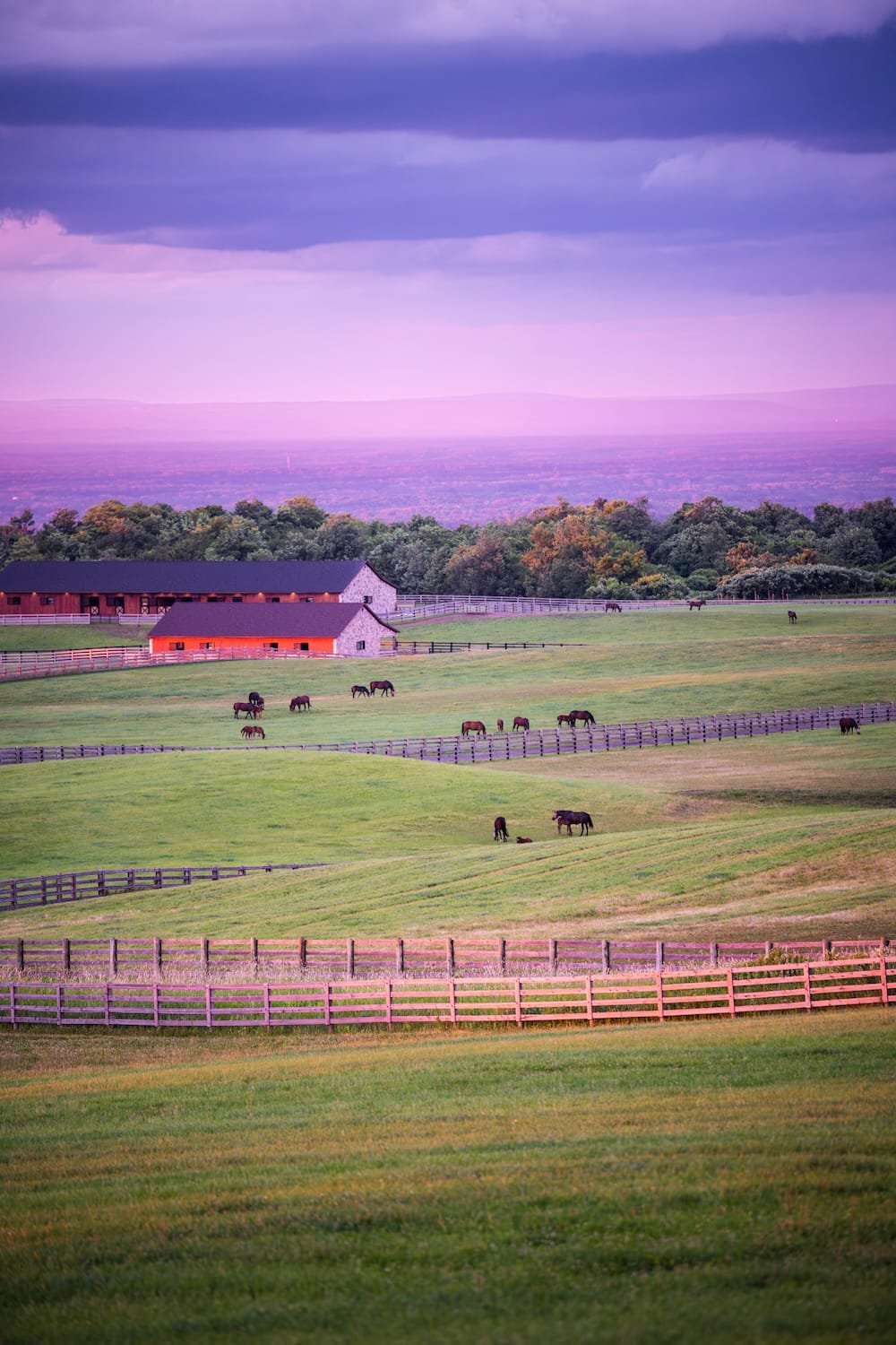 A pastoral scene with green fields, a white barn with a gray roof, fenced areas, and horses grazing under a purple sky with clouds and a mountain in the background.