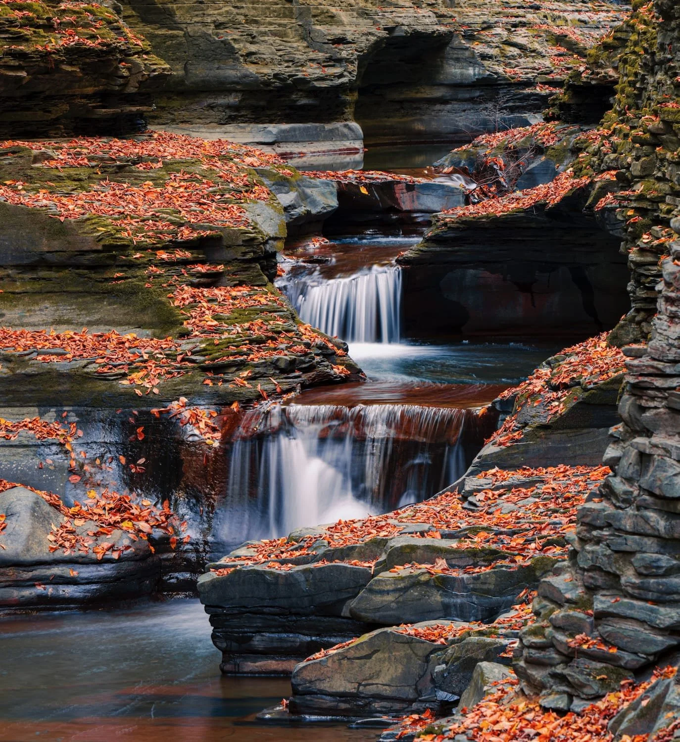 A small stream with cascading waterfalls flowing between rocks, covered with fallen orange and red leaves.