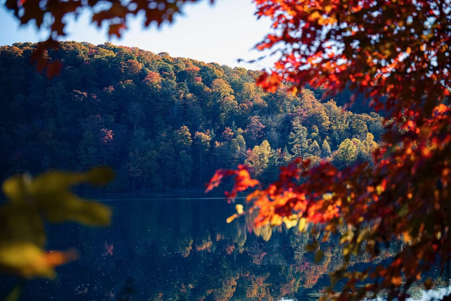 A peaceful lake surrounded by trees with autumn-colored leaves, some branches with red leaves in the foreground, and the water reflecting the trees and sky.