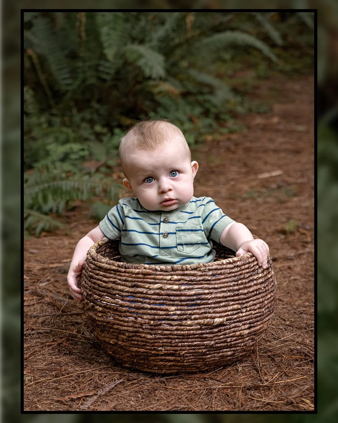 Had a great time capturing this adorable baby boy with his mom and uncle in the beautiful redwoods!

#familyphotography #familyphotographer #familypictures #familyphotos #familyportrait #familyphotoshoot #familysession  #delnortecounty #currycounty  