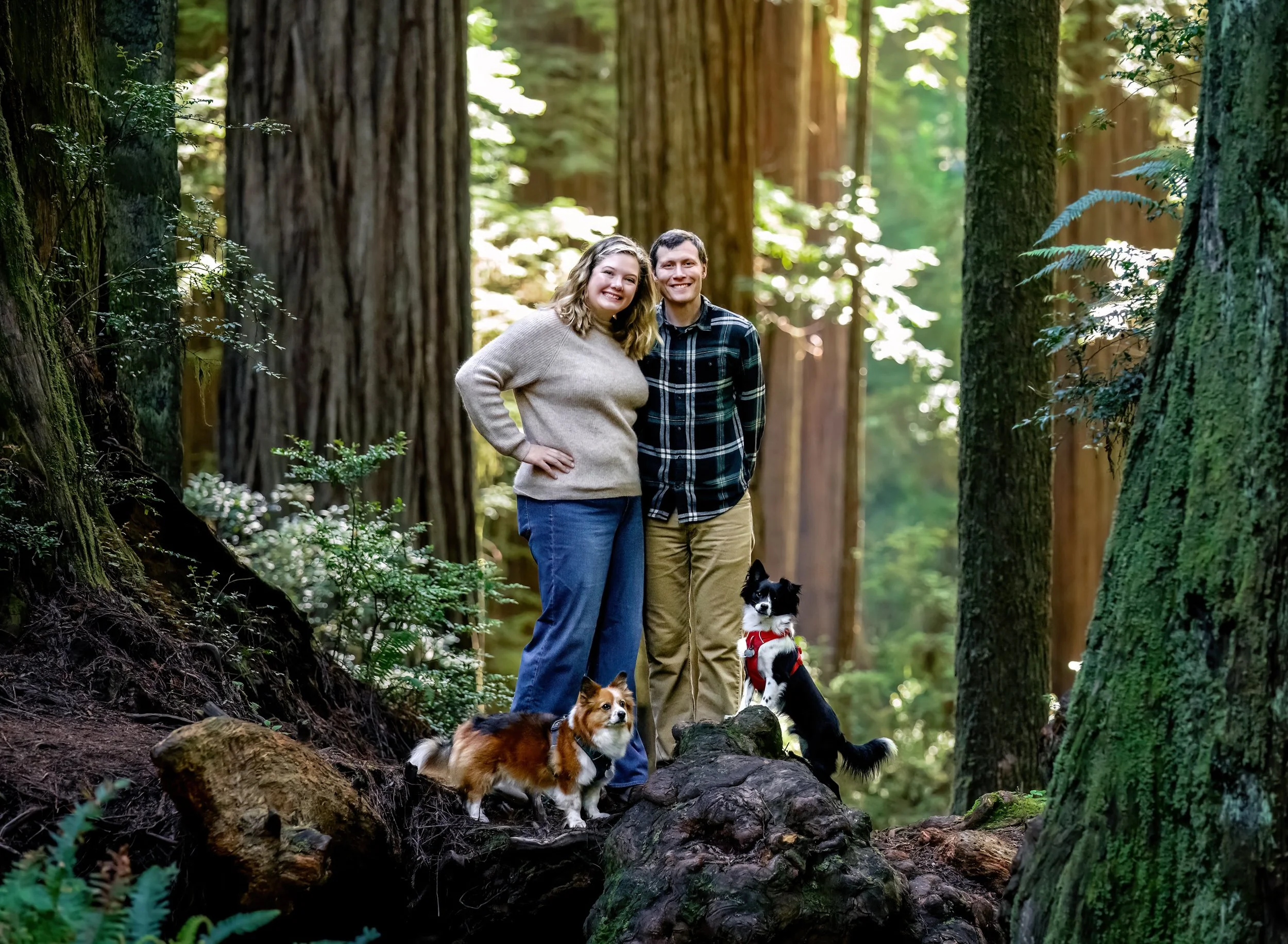 family-photography-crescent-city-ca-redwoods-Kelsey-Dogs-2.jpg