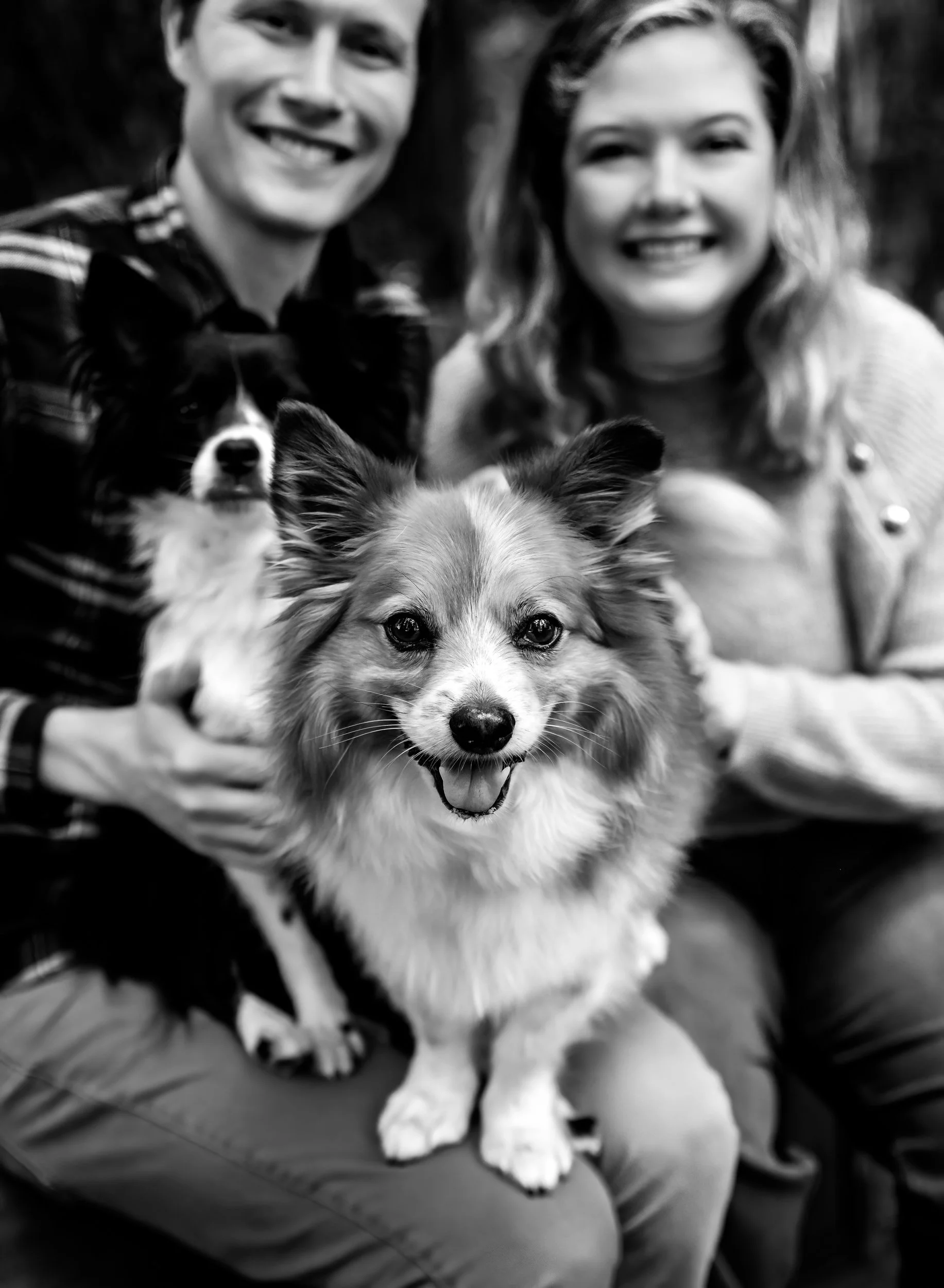family-photography-crescent-city-ca-redwoods-Kelsey-Dogs-3.jpg