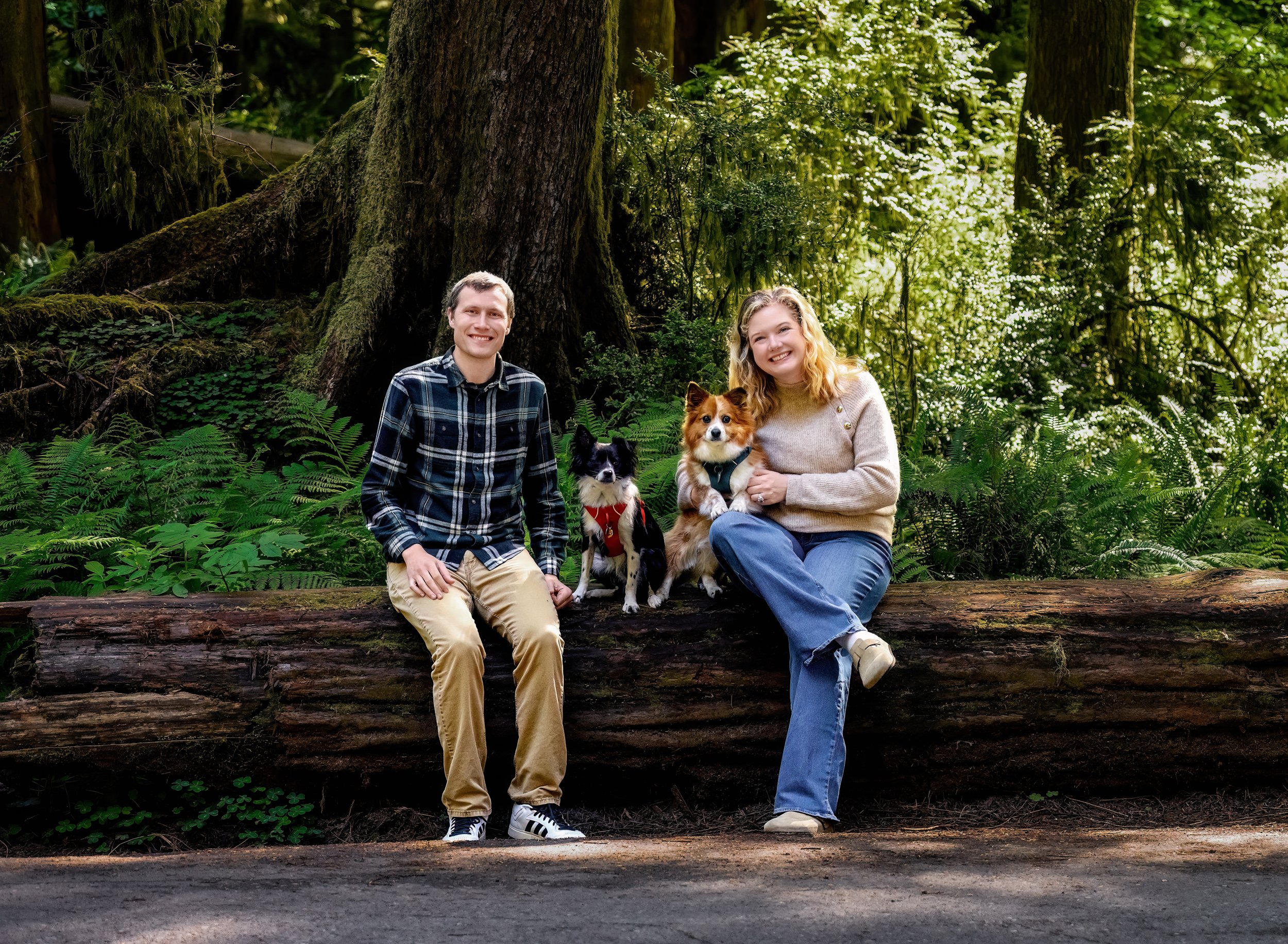 family-photography-crescent-city-ca-redwoods-Kelsey-Dogs-1.jpg