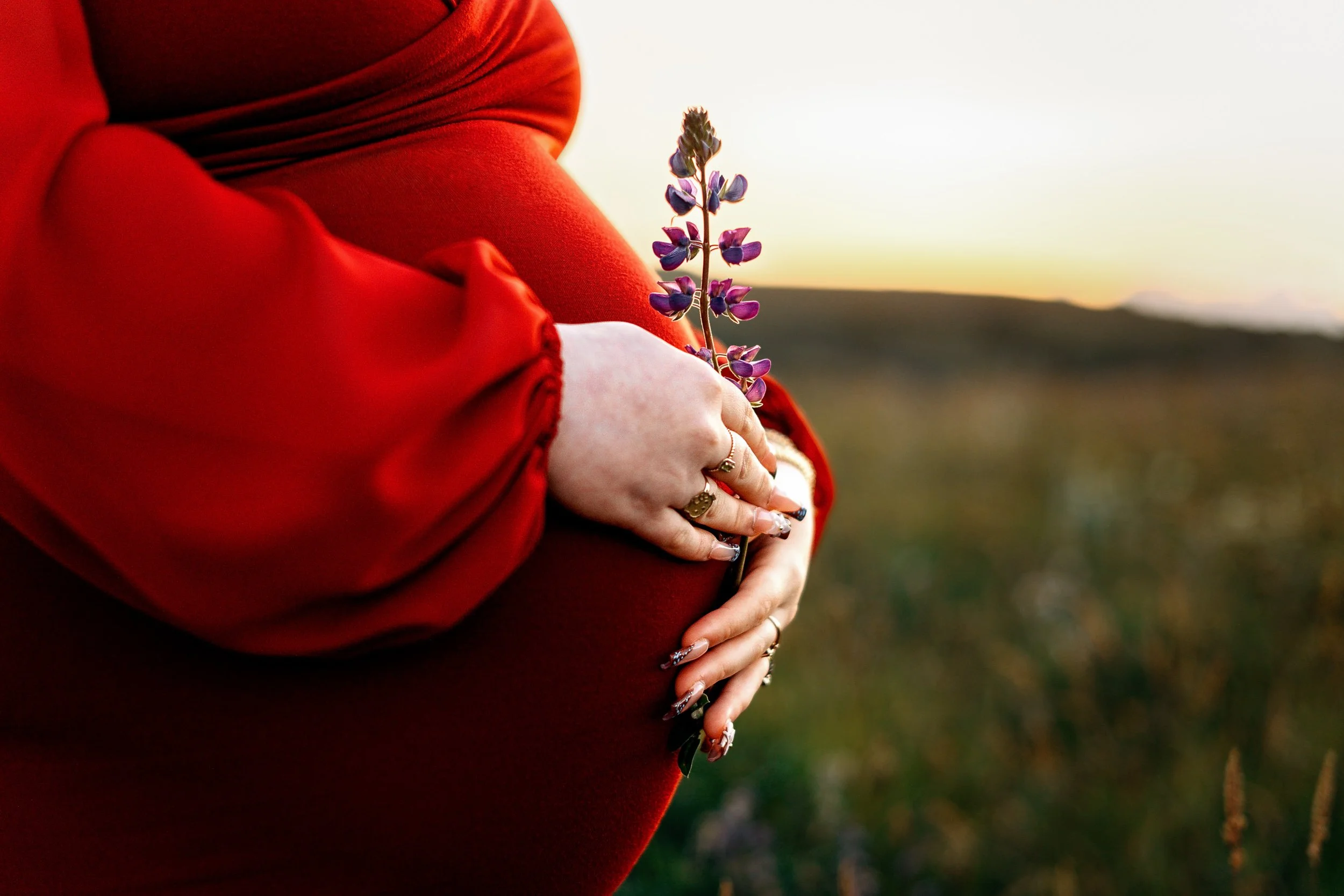 maternity-photography-crescent-city-ca-beach-HeavenAlda-3.jpg