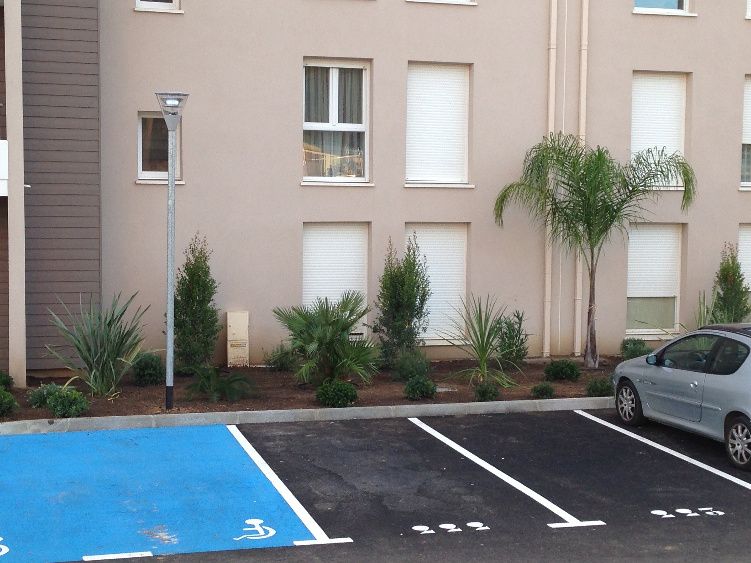 aménagement paysager ajaccio copropriétés 2.JPG