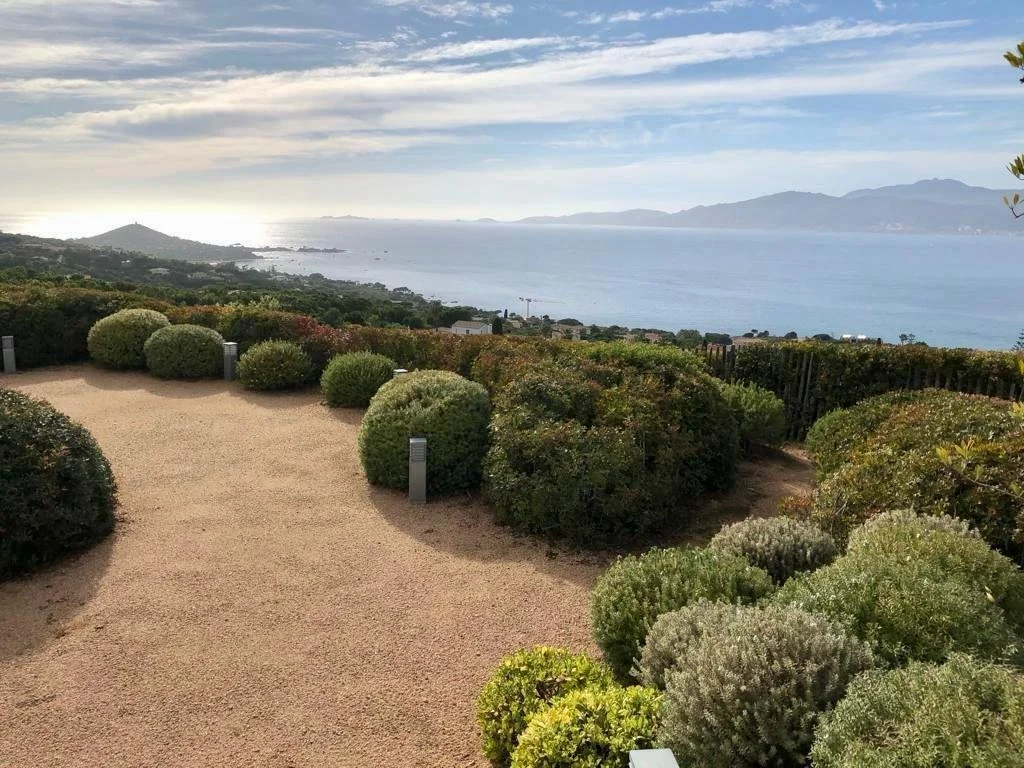aménagement paysager ajaccio 27.jpeg