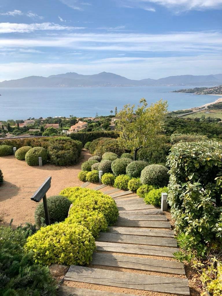 aménagement paysager ajaccio 31.jpeg