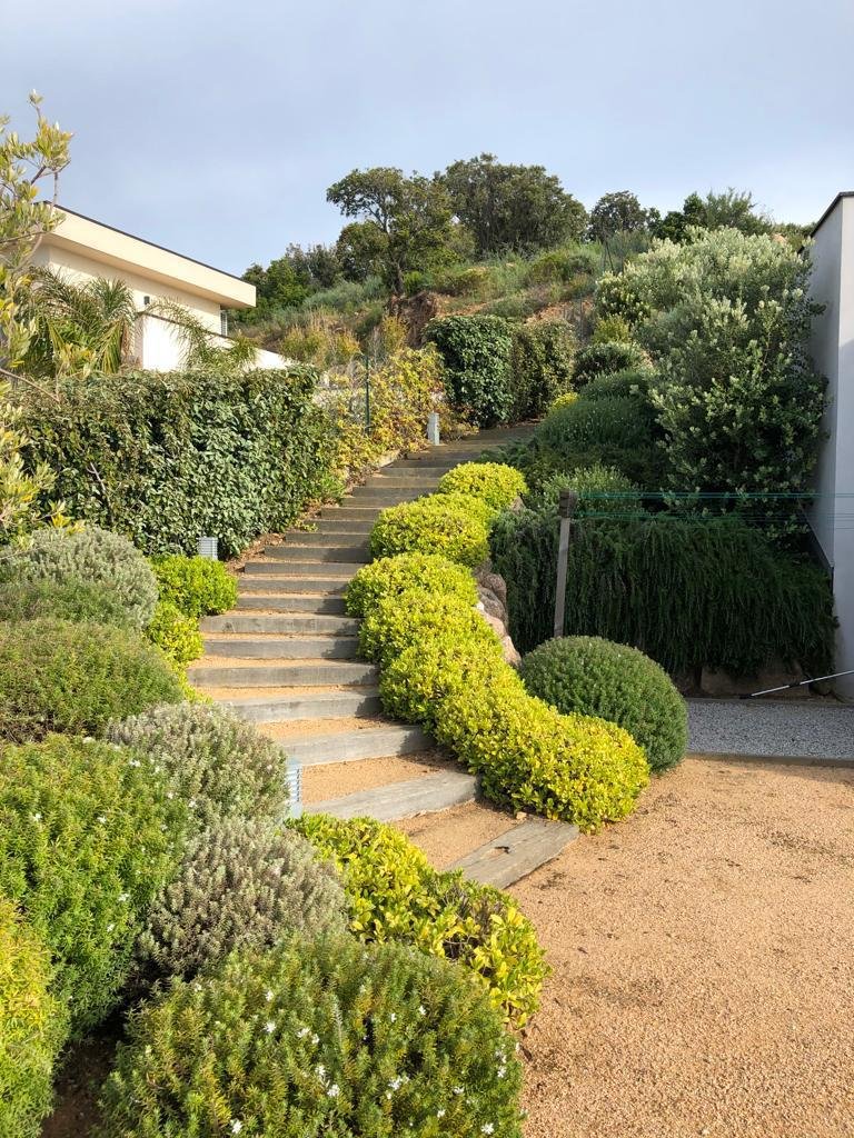 aménagement paysager ajaccio 25.jpeg