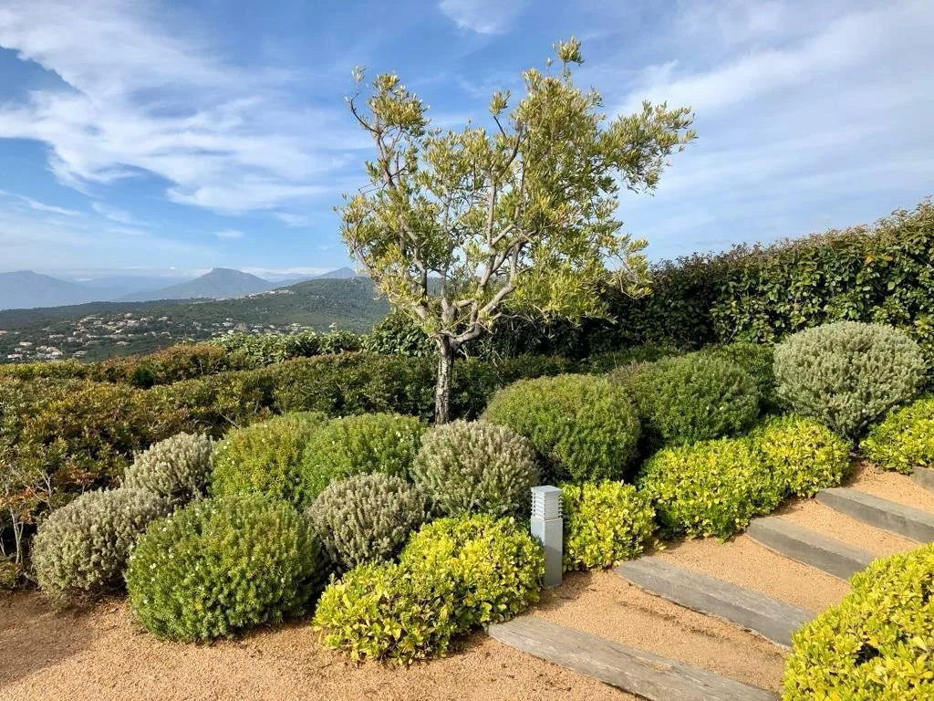 aménagement paysager ajaccio 24.jpeg