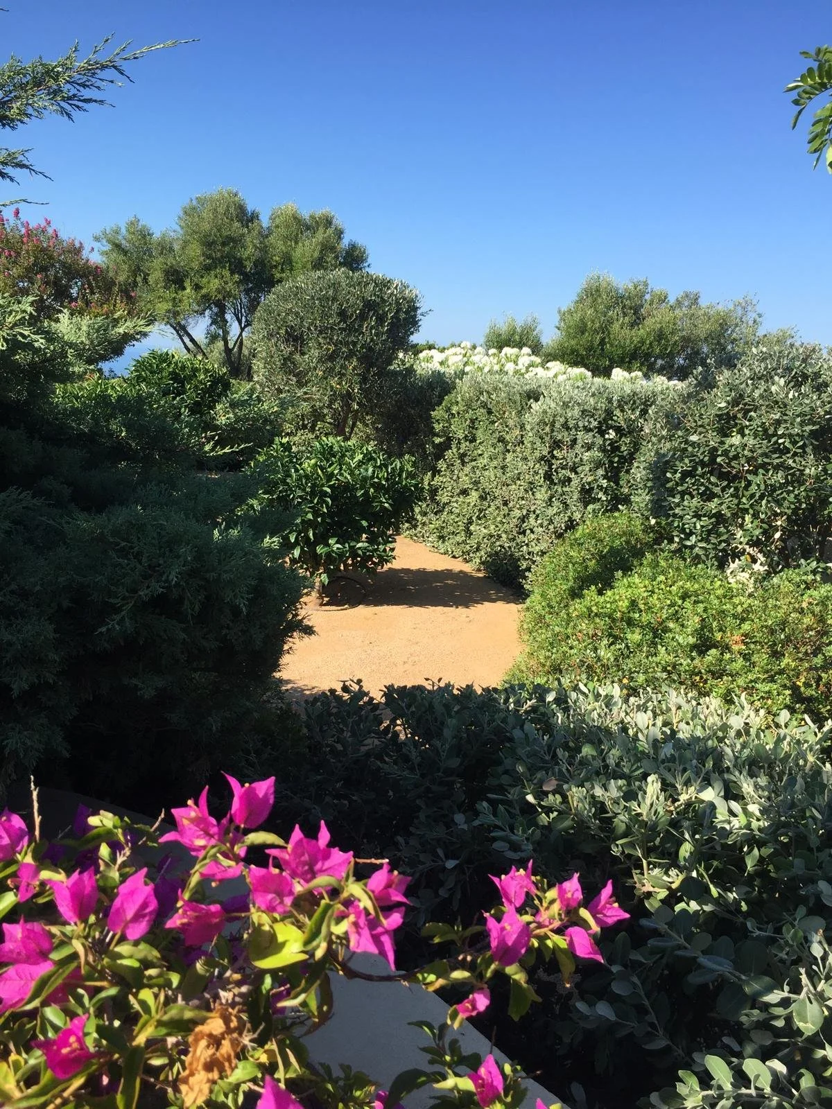 aménagement paysager ajaccio 19.jpeg