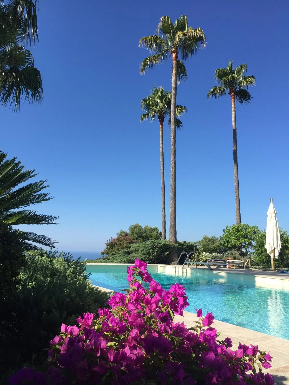 aménagement paysager ajaccio 16.jpeg