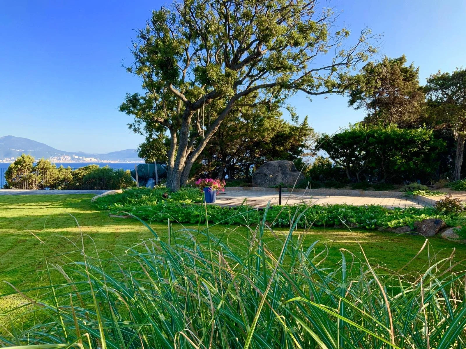 Réalisation de jardin à Ajaccio