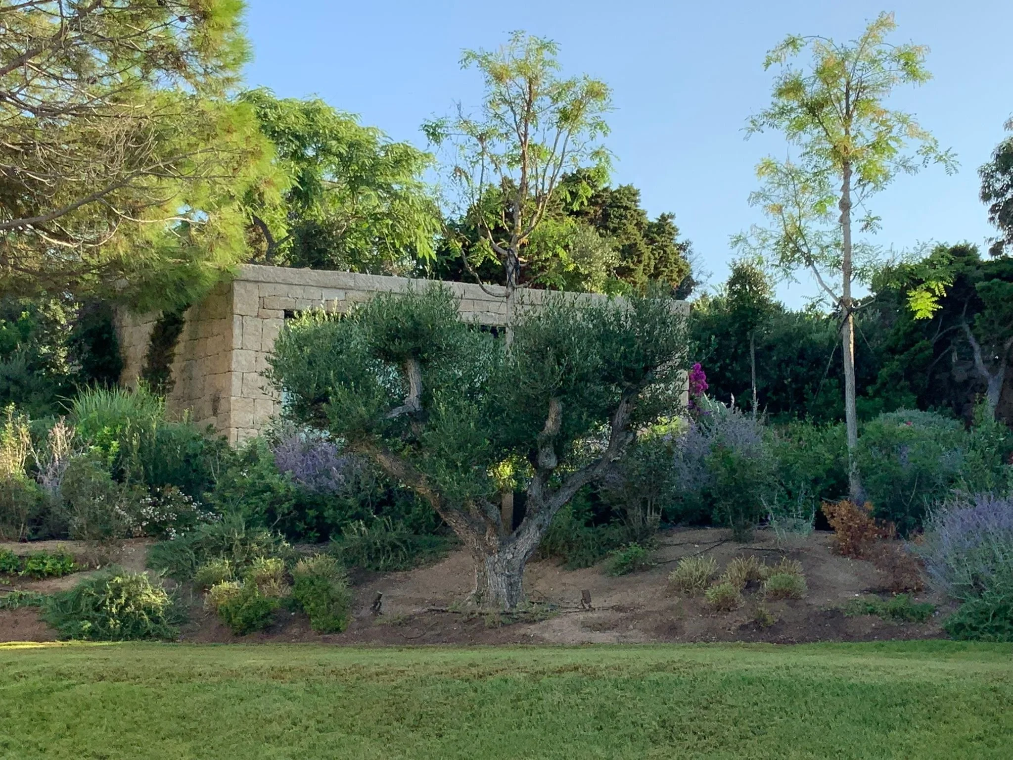 Réalisation de jardin à Ajaccio