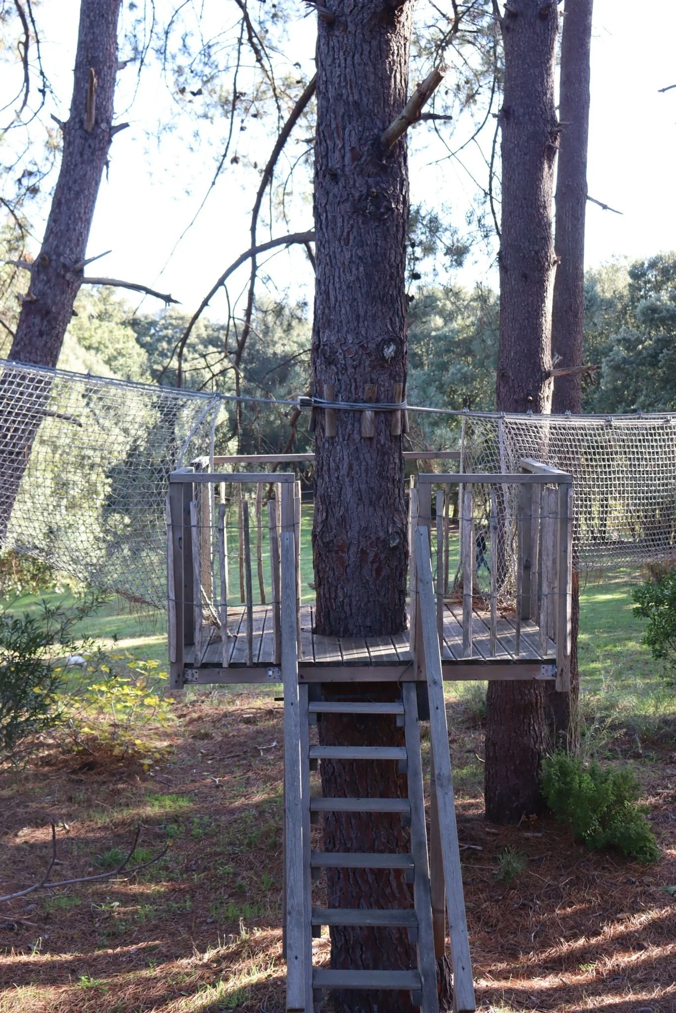 cabane perchée ajaccio 4.jpeg