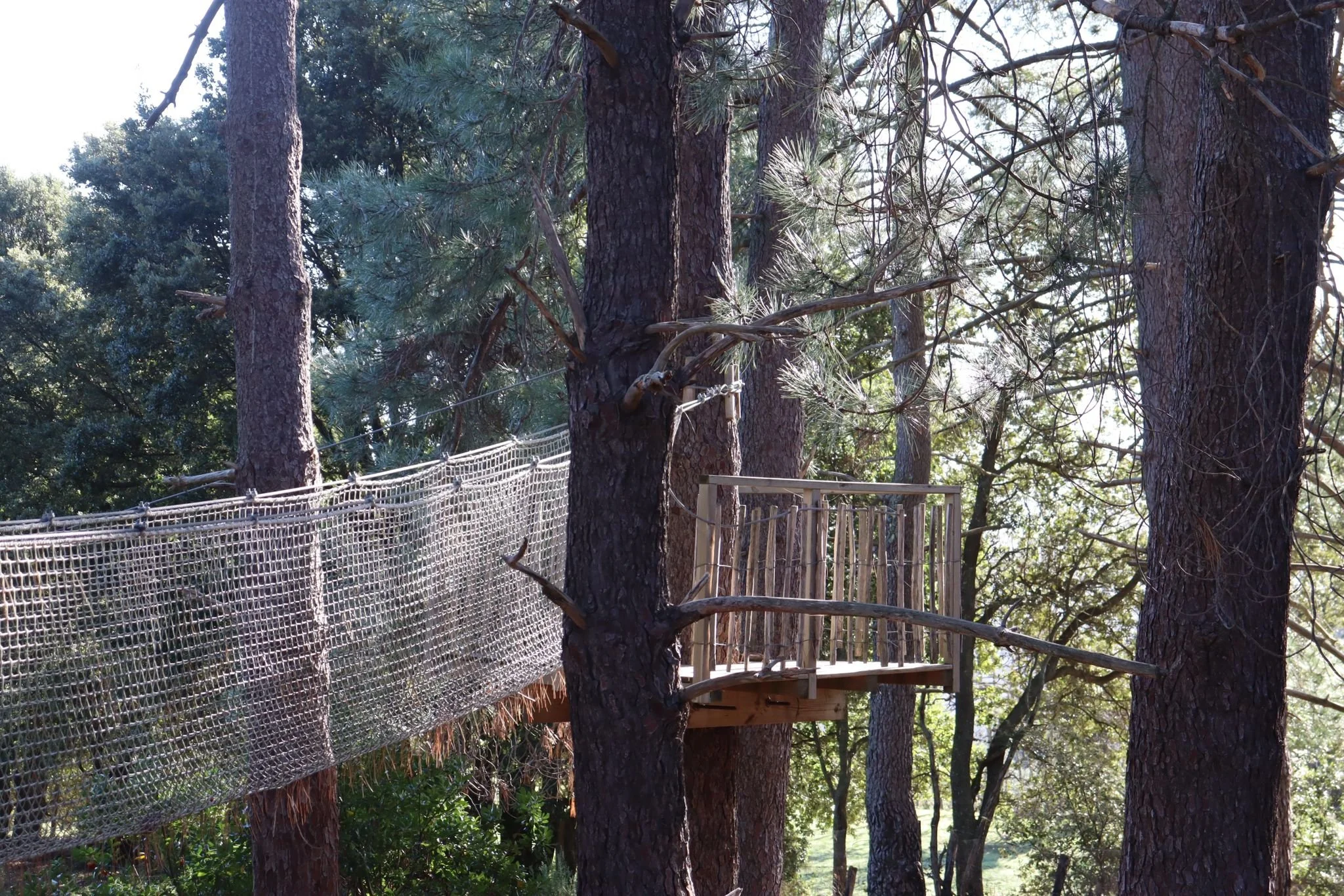 cabane perchée ajaccio.jpeg