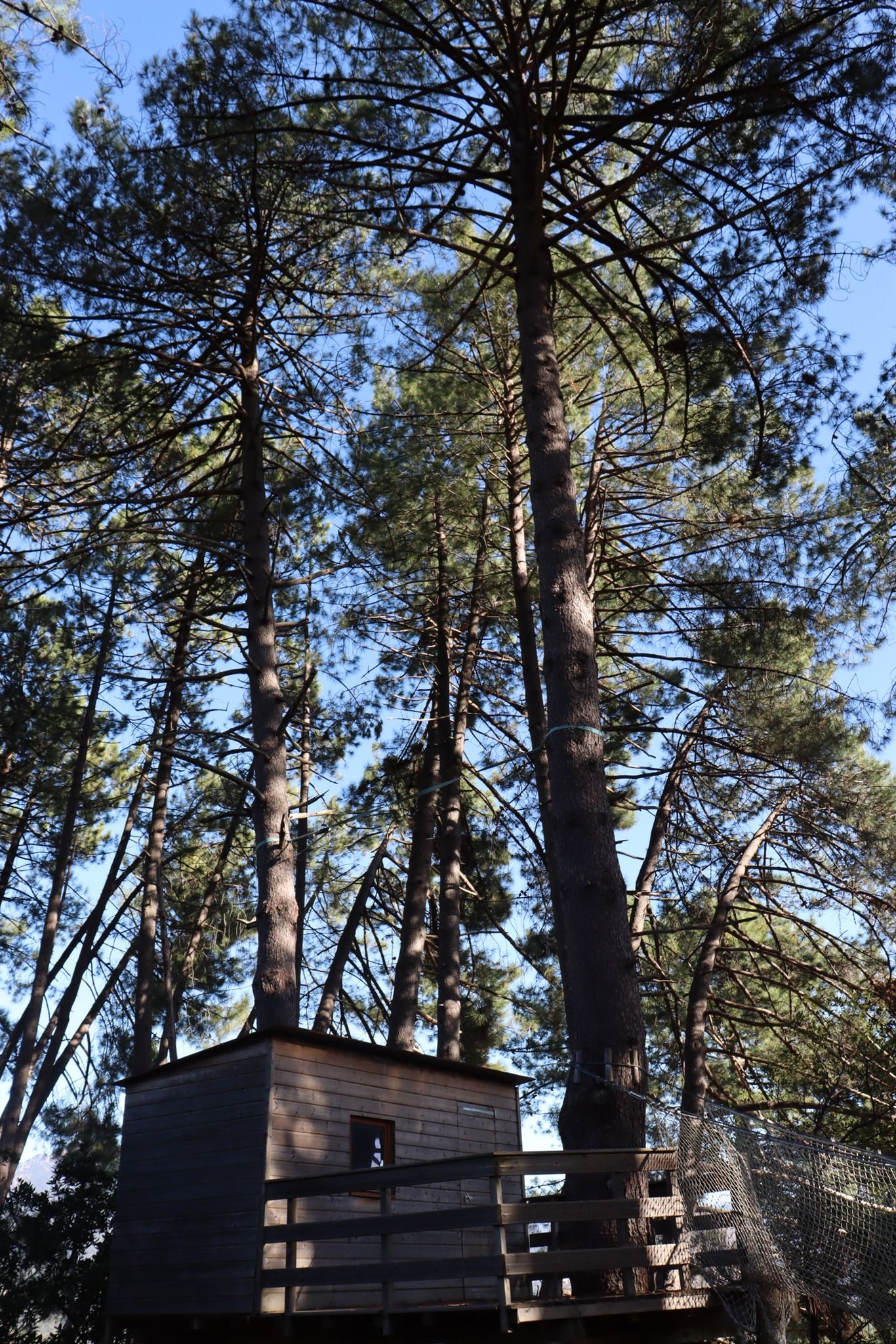 cabane perchée ajaccio.jpeg