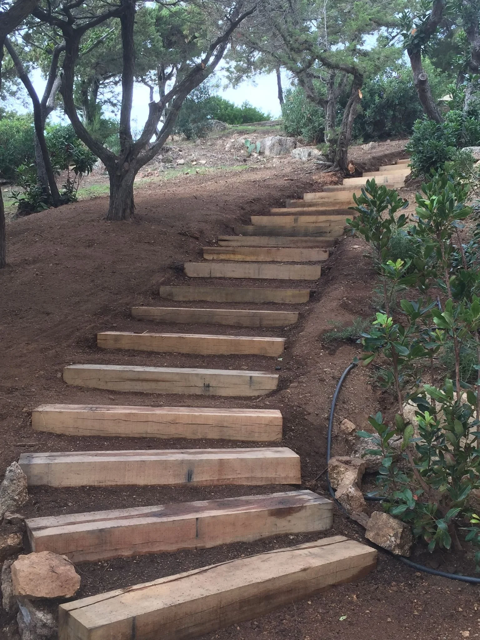 Escaliers extérieurs ajaccio.jpeg