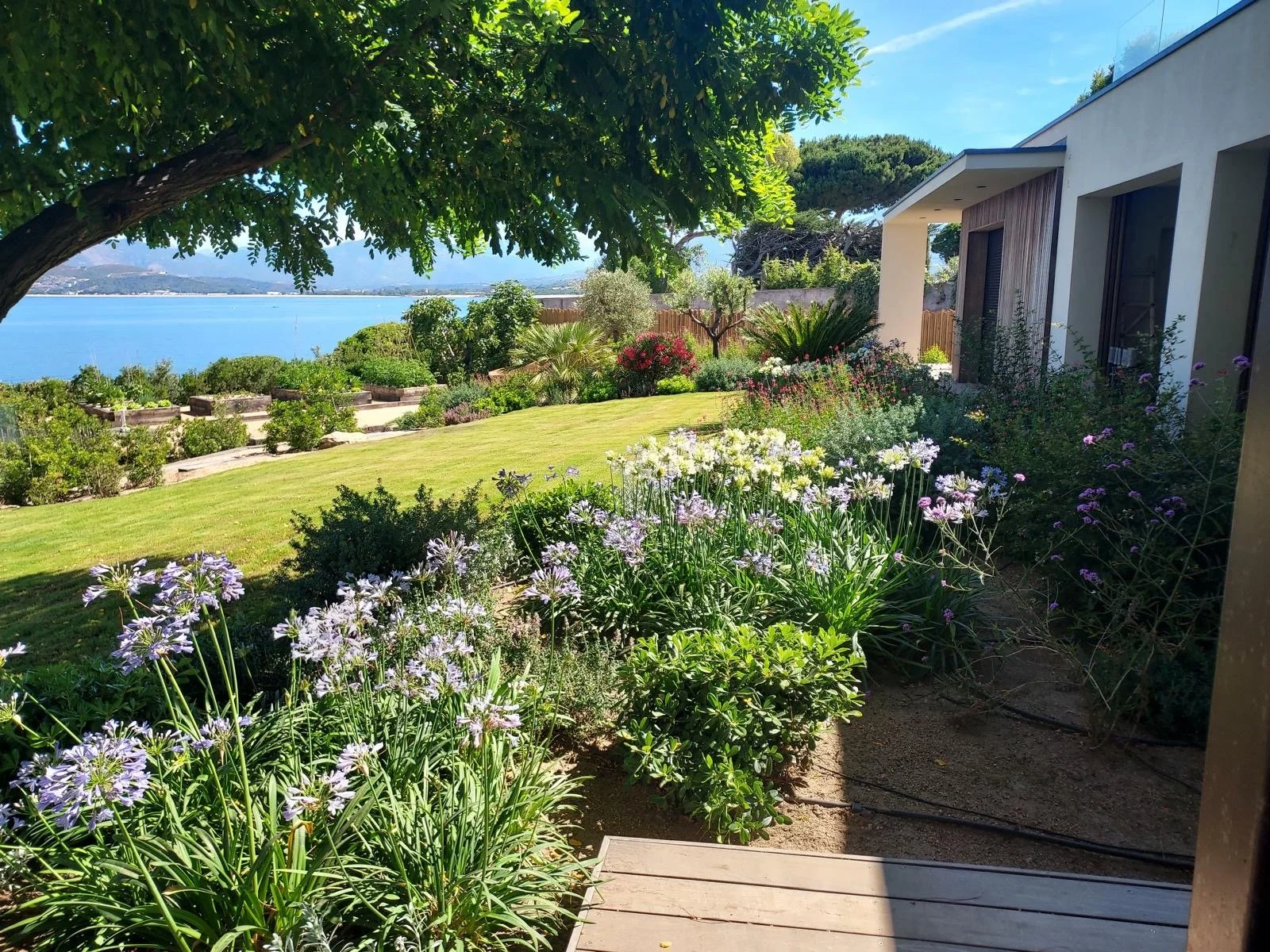 Un jardin fleuri avec une pelouse verte, des arbres, et une vue sur un lac ou un océan, avec une maison moderne en arrière-plan.