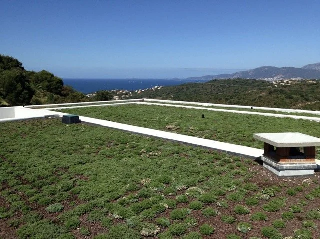 toitures végétalisées