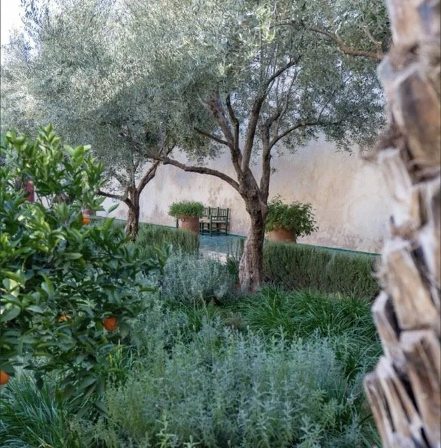 Jardin méditérannéen