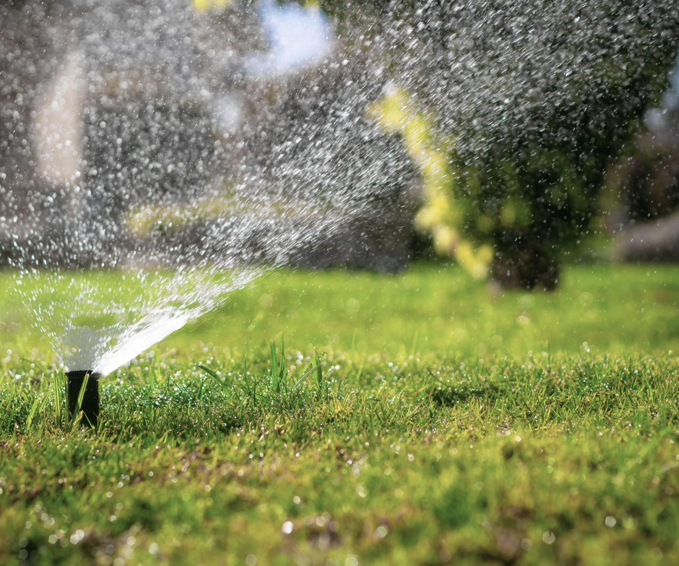 arrosage automatique