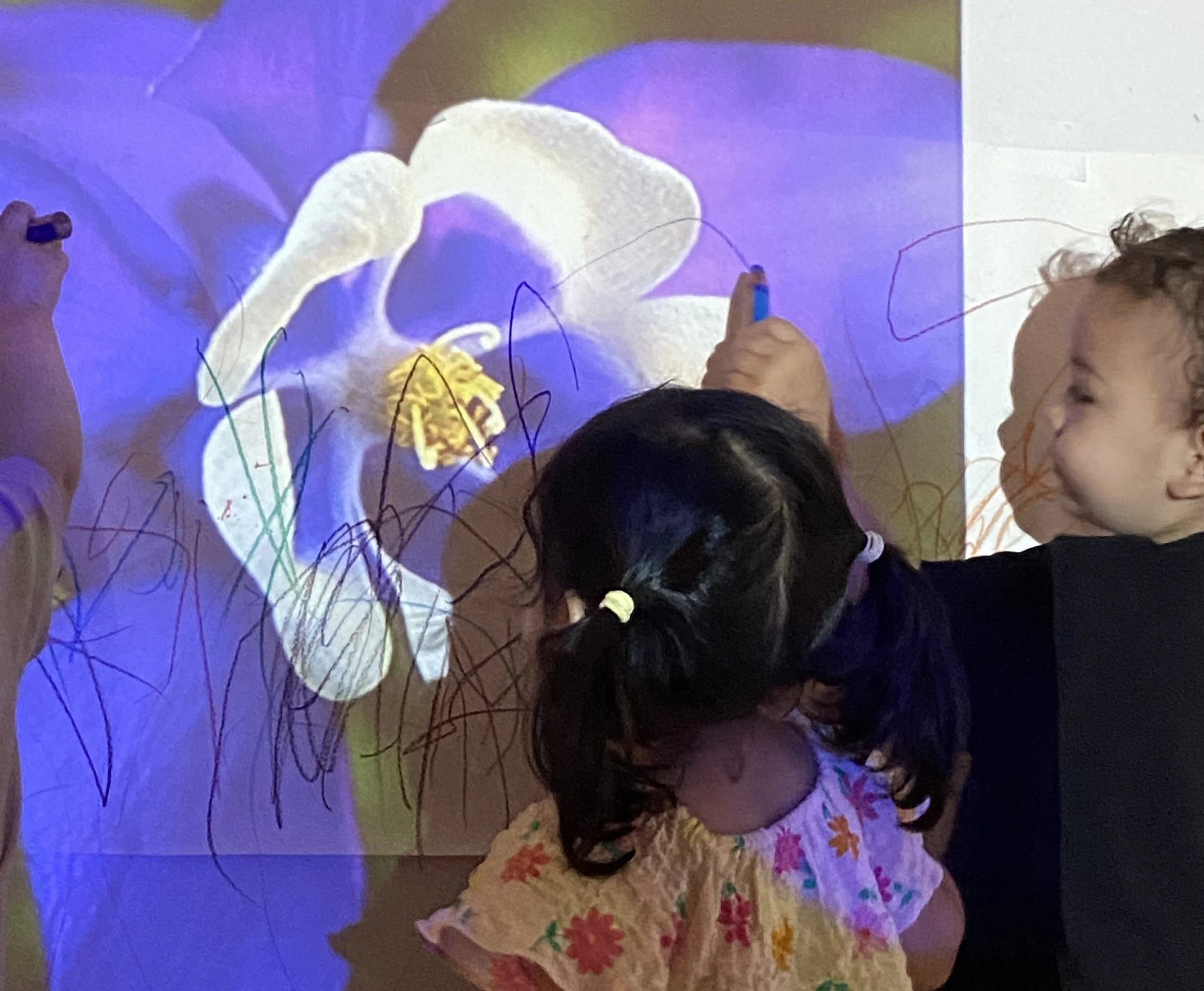 Children drawing on a projection of a white flower with purple and yellow details.
