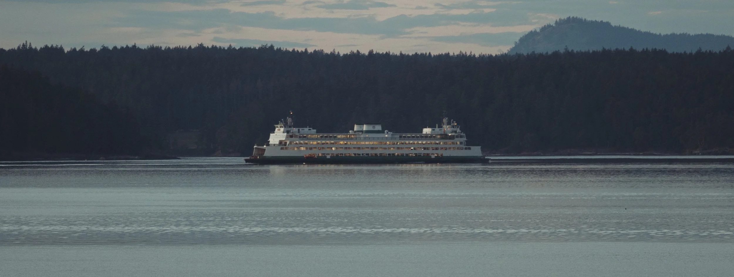 DSC_5217.jpg