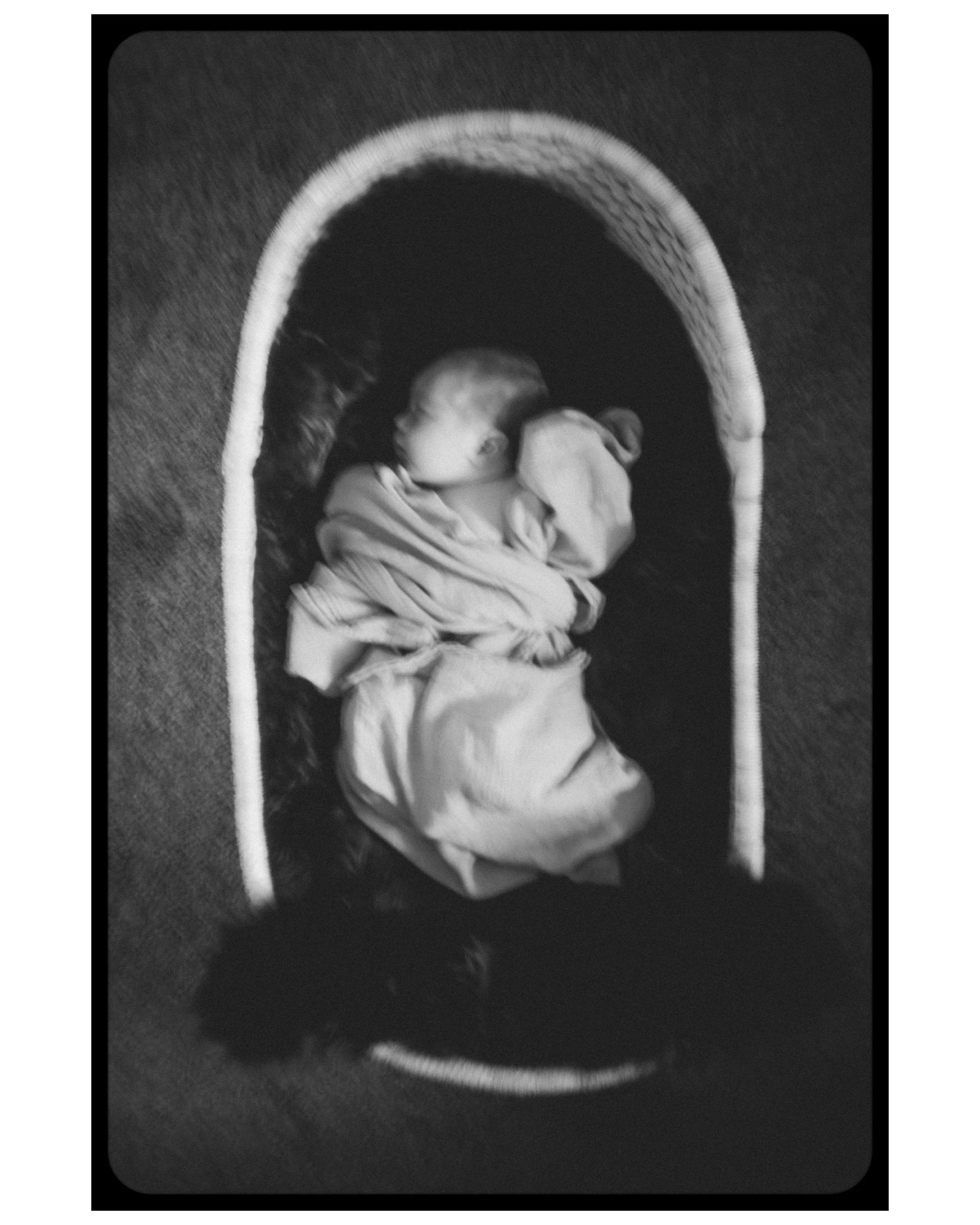 babyinabasket2.jpg