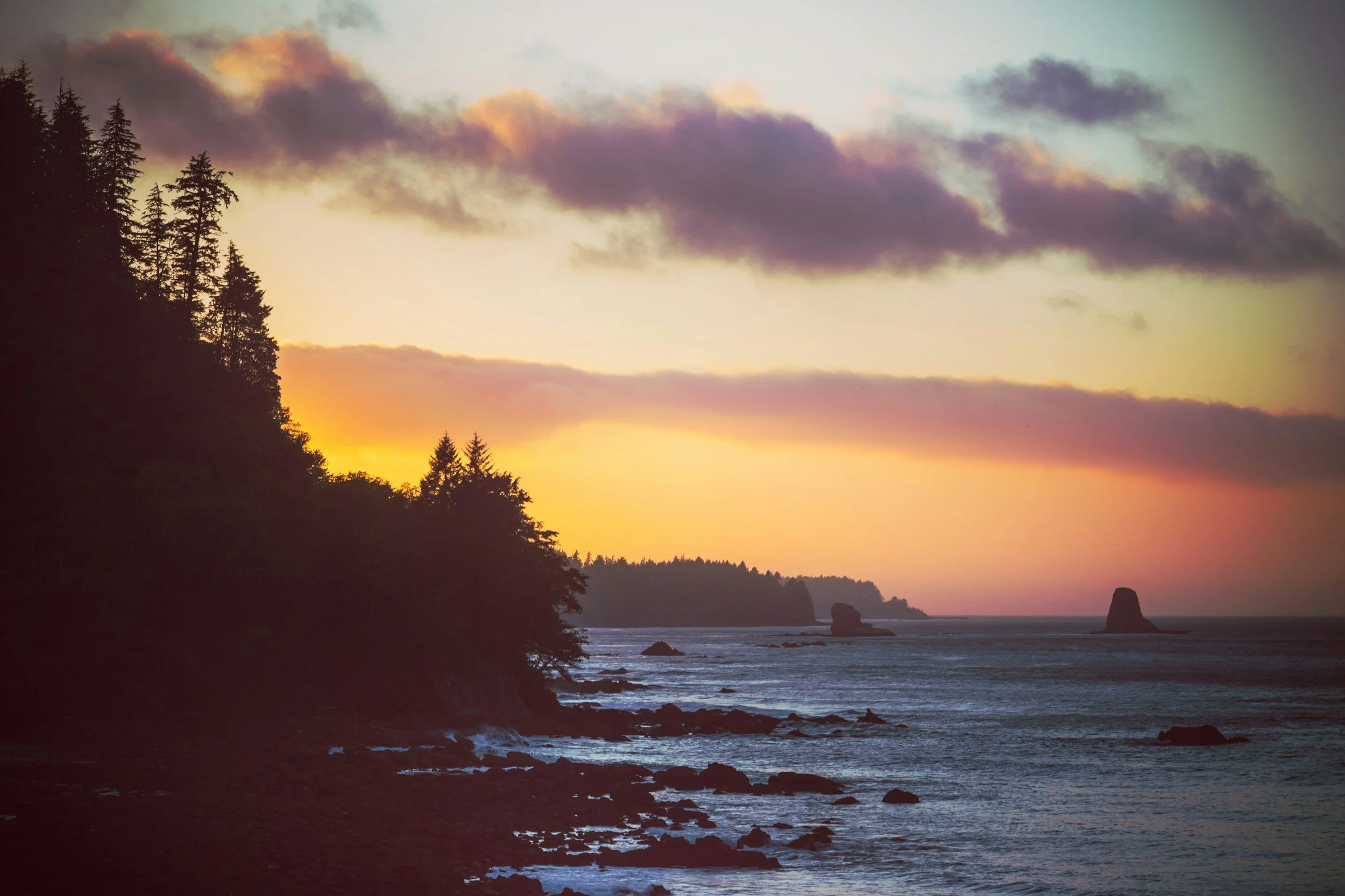sunset over the ocean and trees by a washington photographer in the san Juan islands