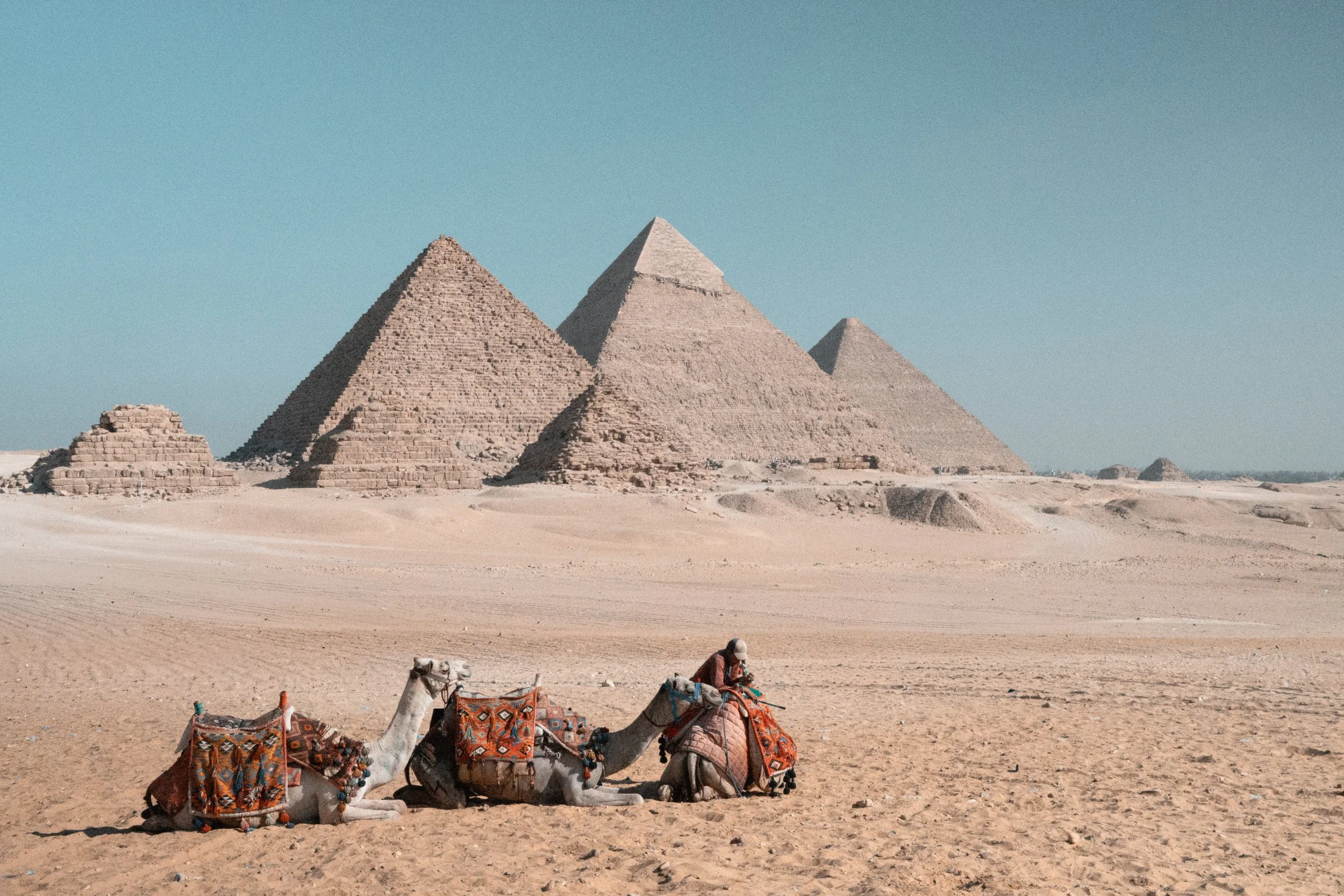 camels and man at the pyramids in Egypt documentary style photography in pocatello idaho