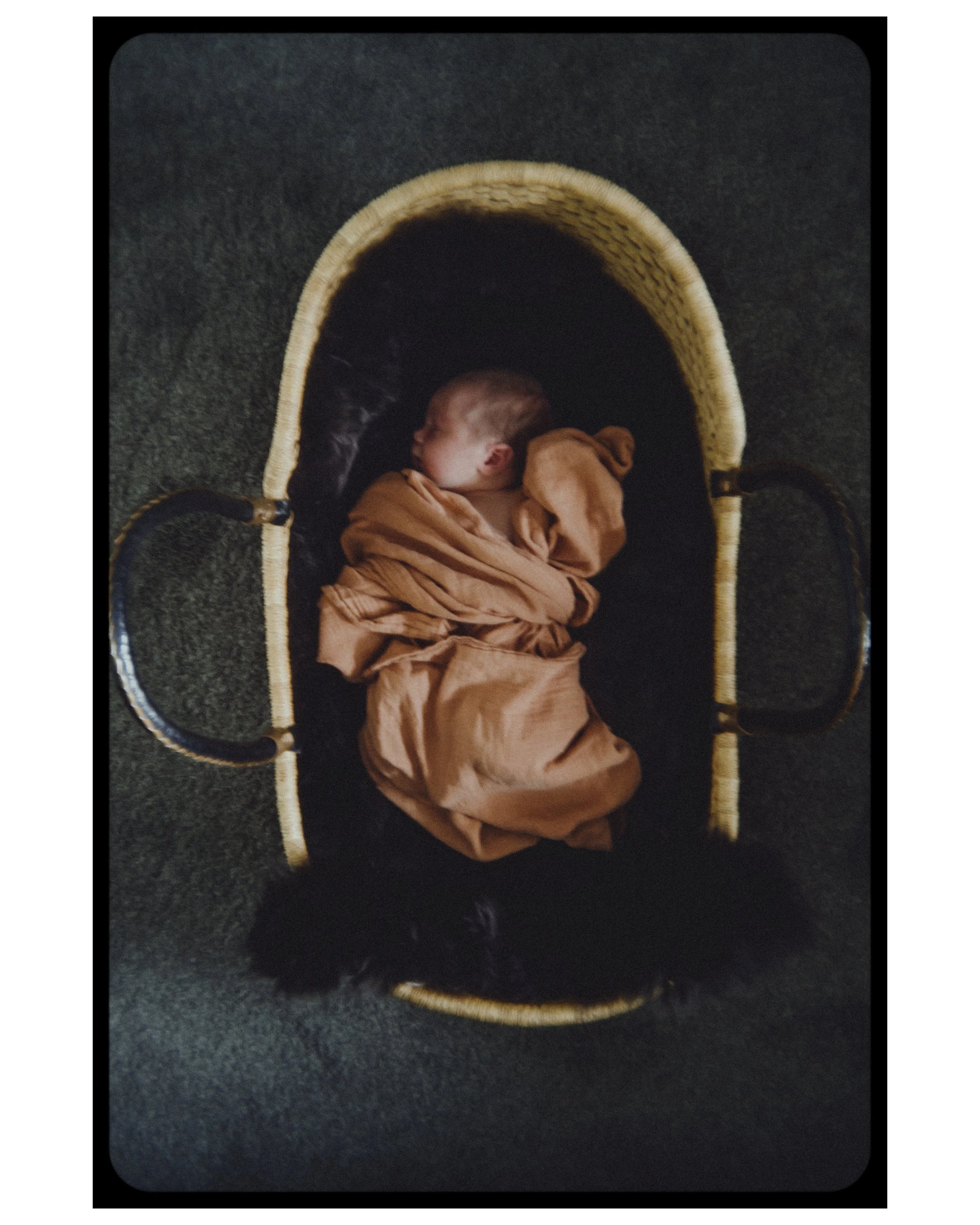babyinabasket1.jpg