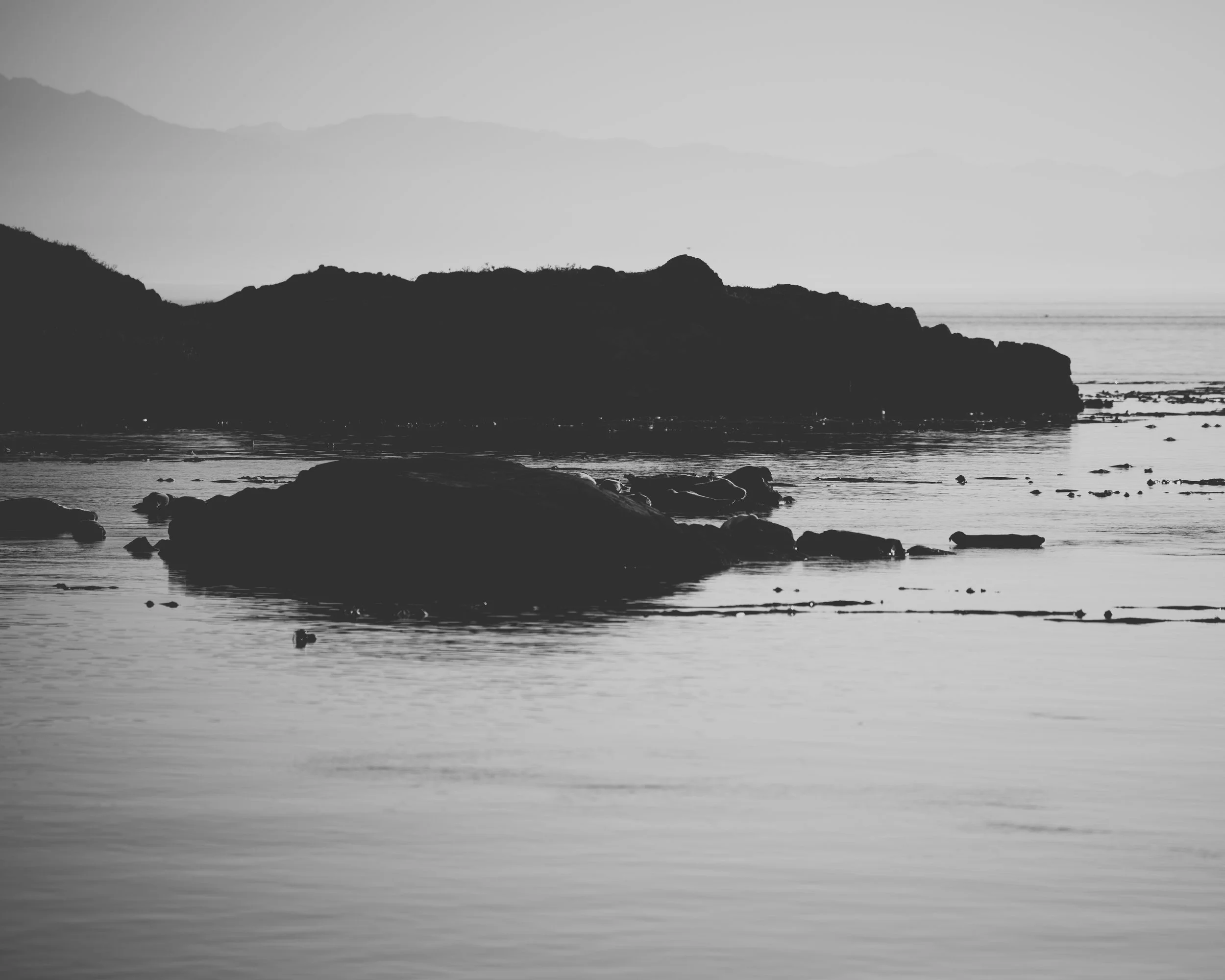 DSC_5187.jpg