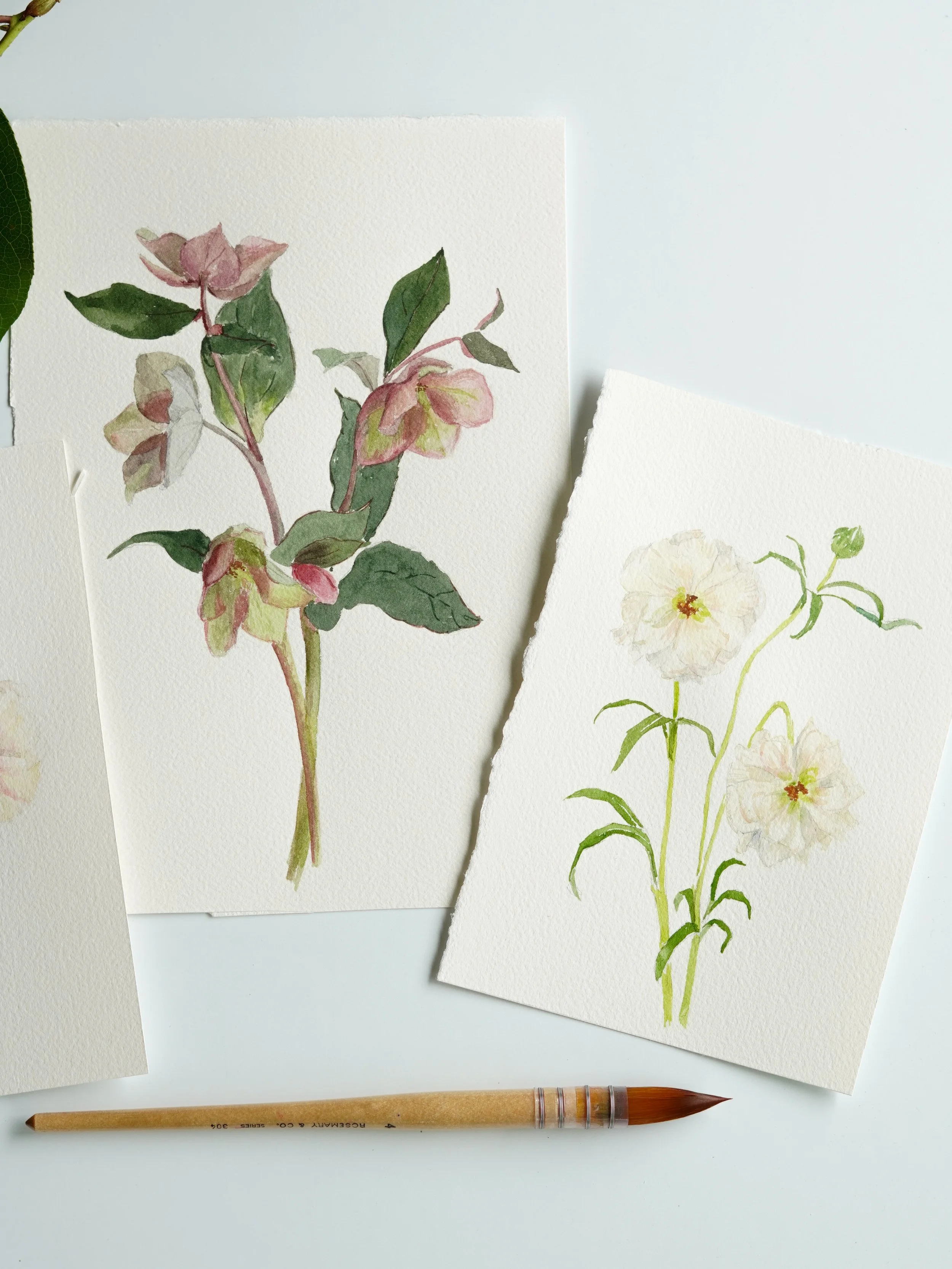 floralwatercolor-14.jpg