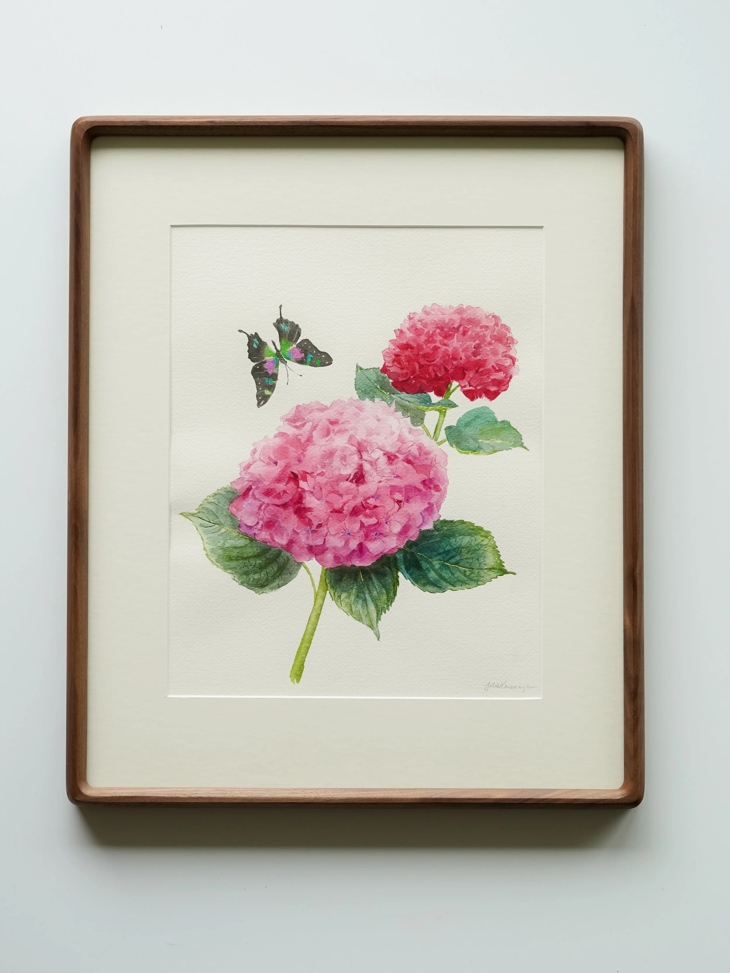 Hydrangea Duo - 12 x 10
