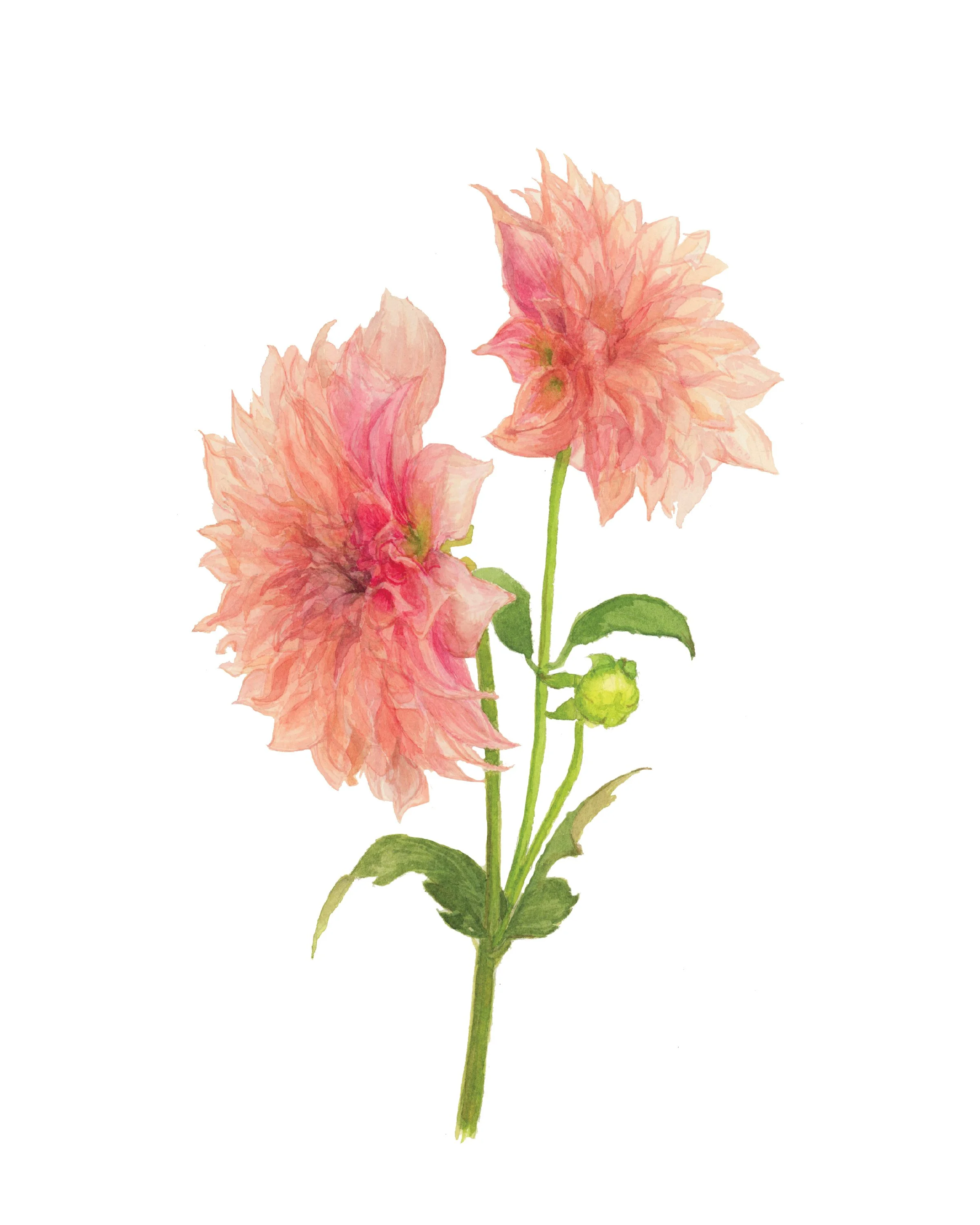 8x10printfloral-03.jpg