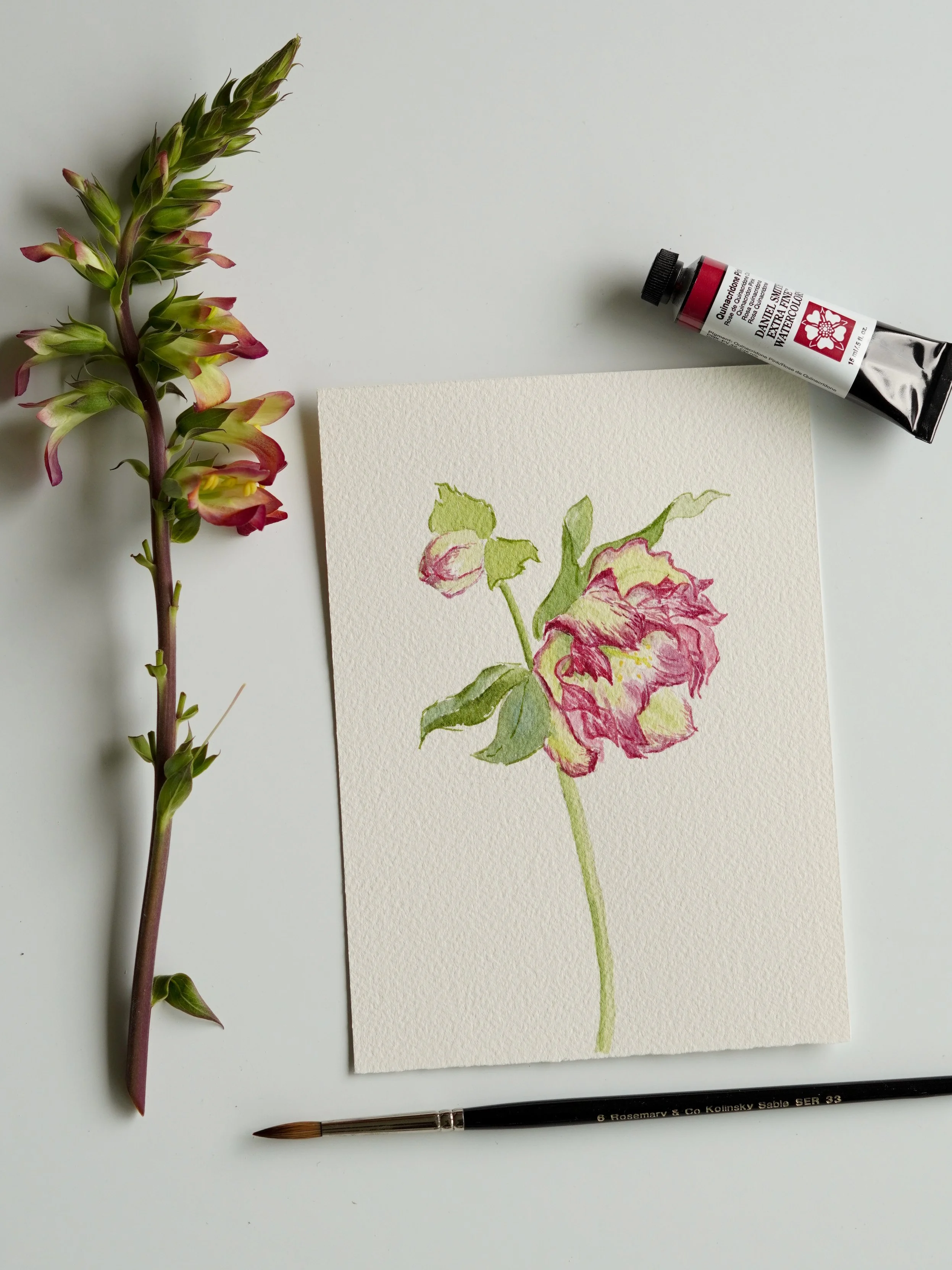 floralwatercolor-2.jpg