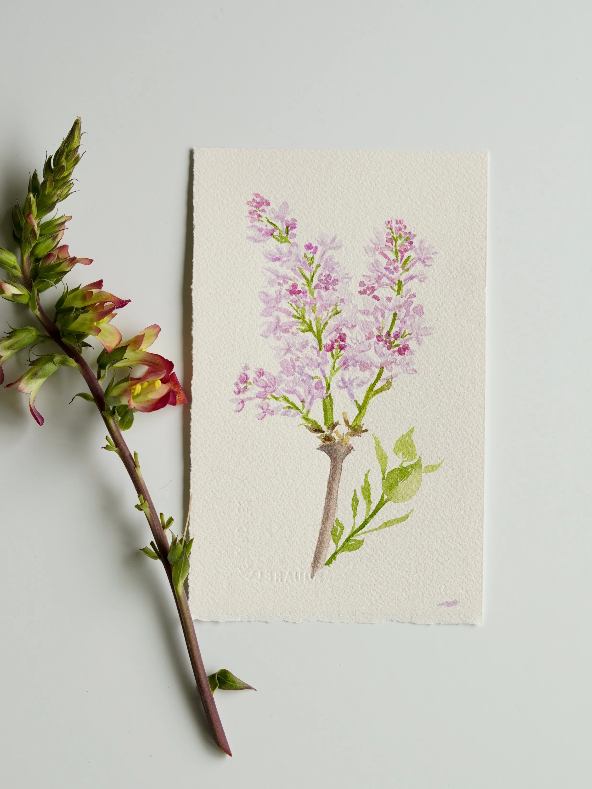 floralwatercolor-5.jpg