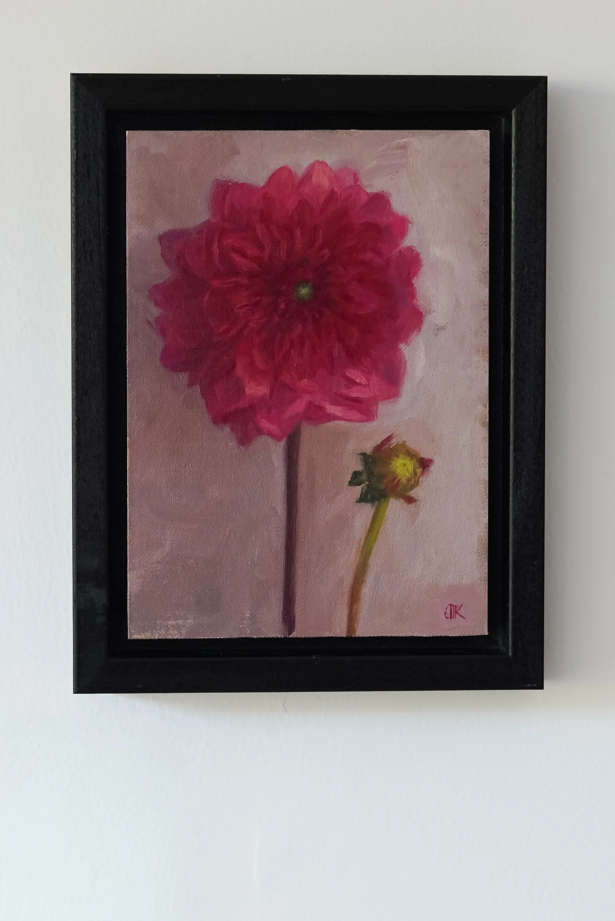 Dahlia Stem