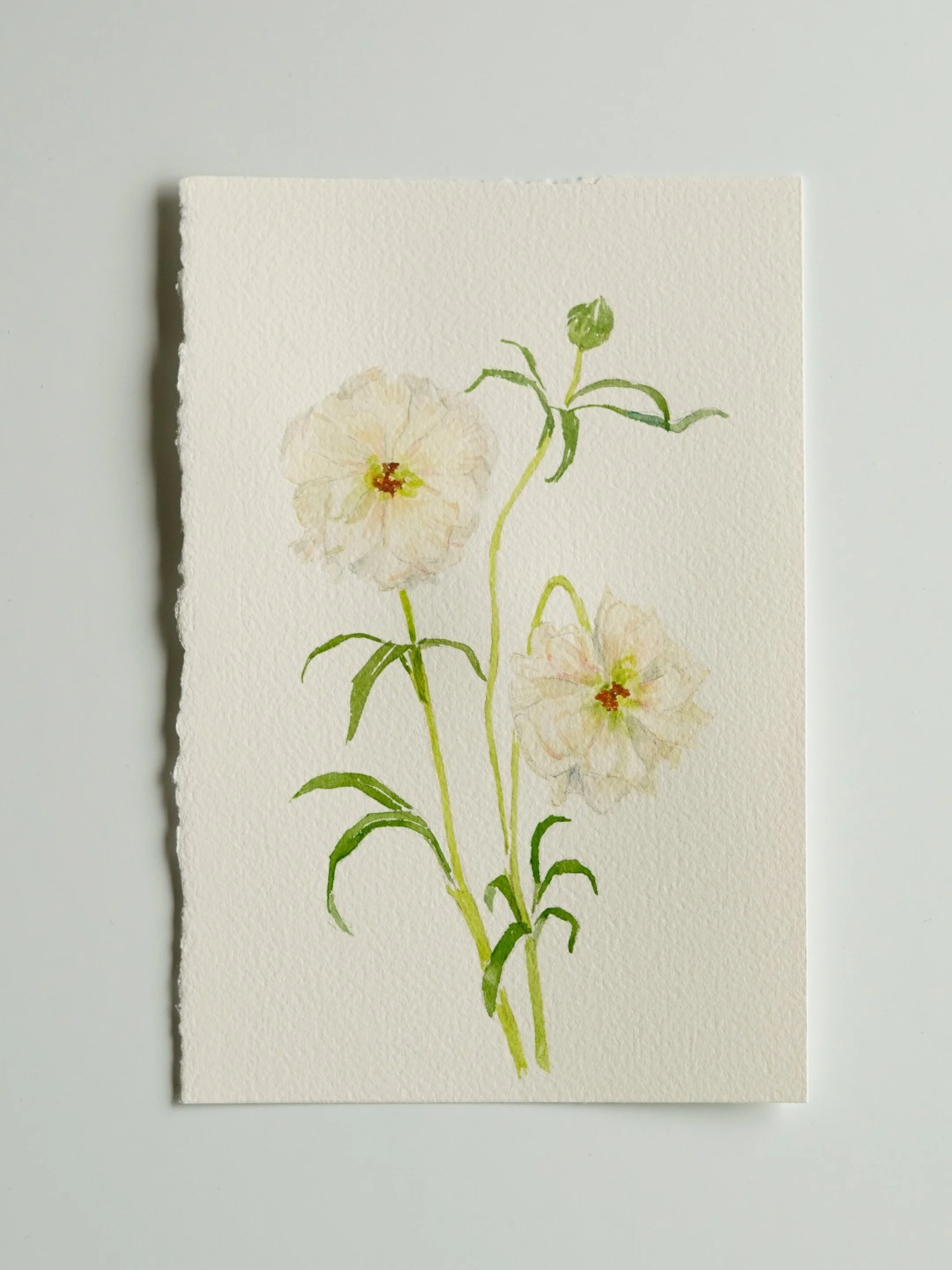 floralwatercolor-8.jpg
