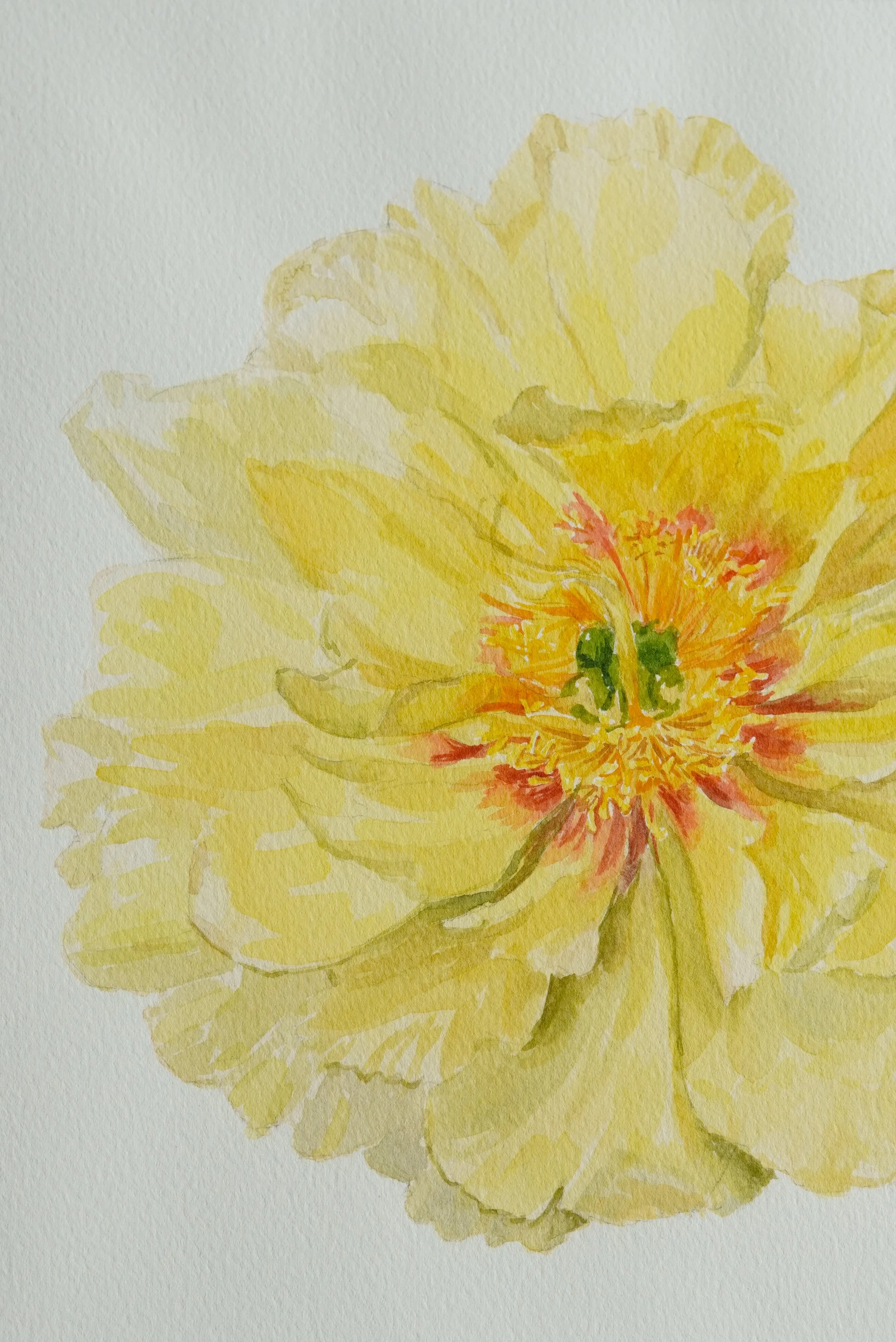 floralwatercolor-19.jpg