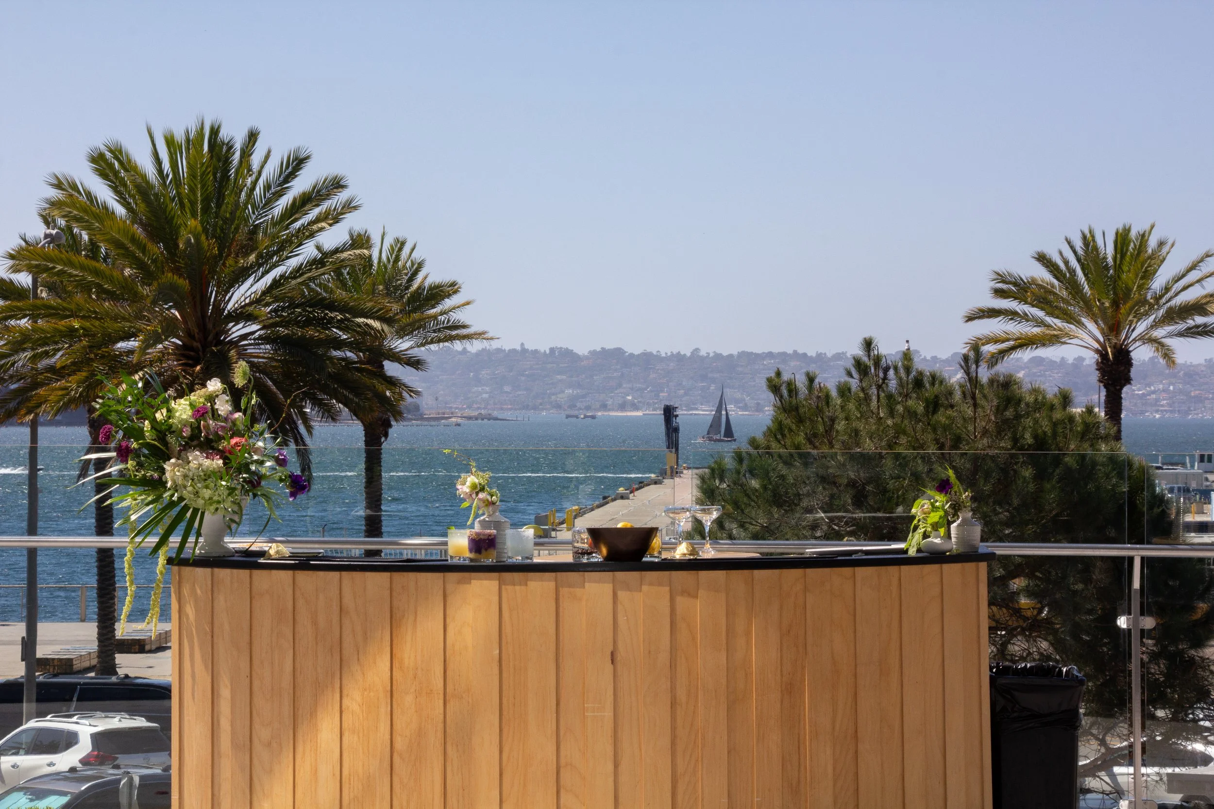 55156923518_9e0f1f38c6_o (1).jpg