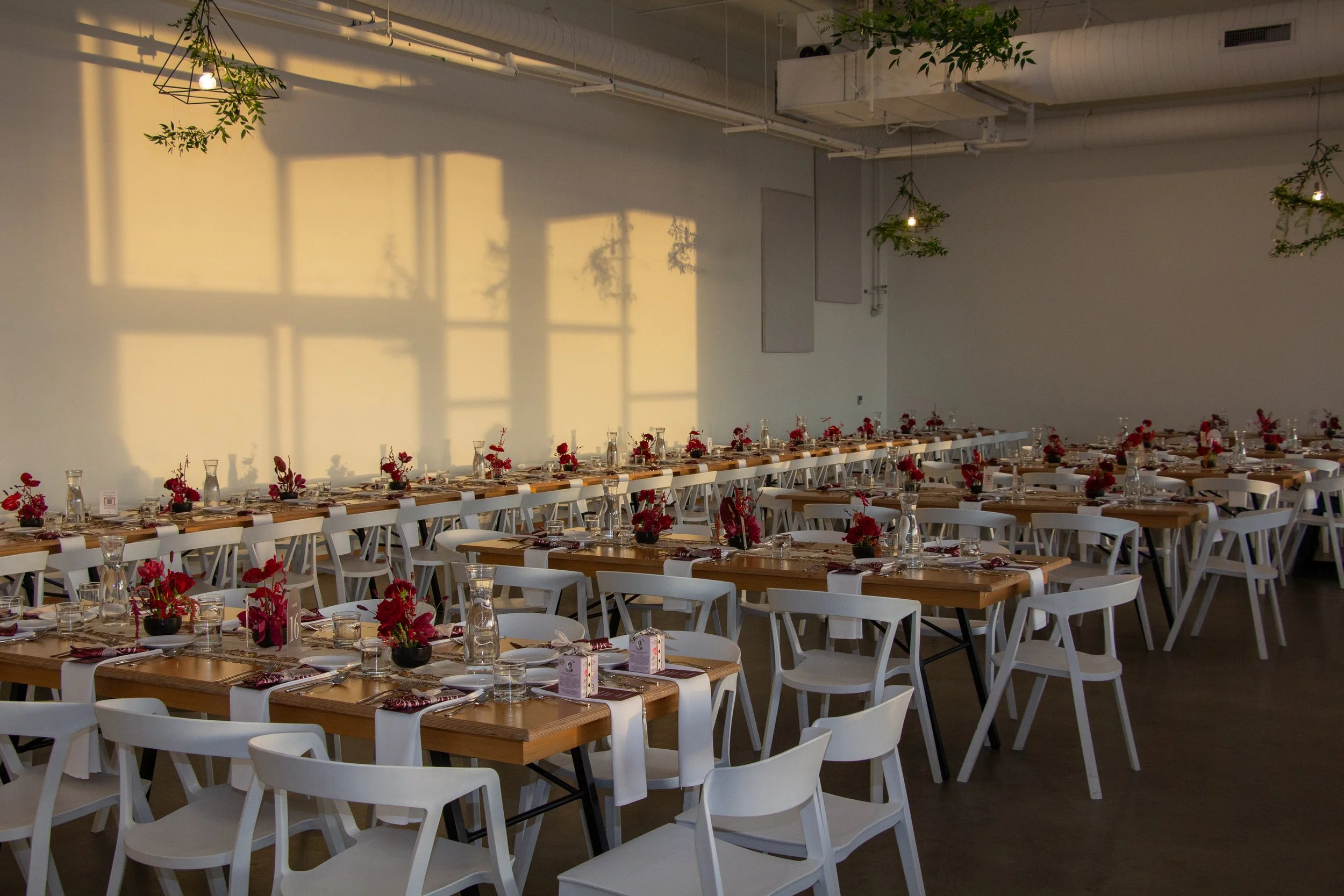 55087556270_24e3dc914d_o (2).jpg