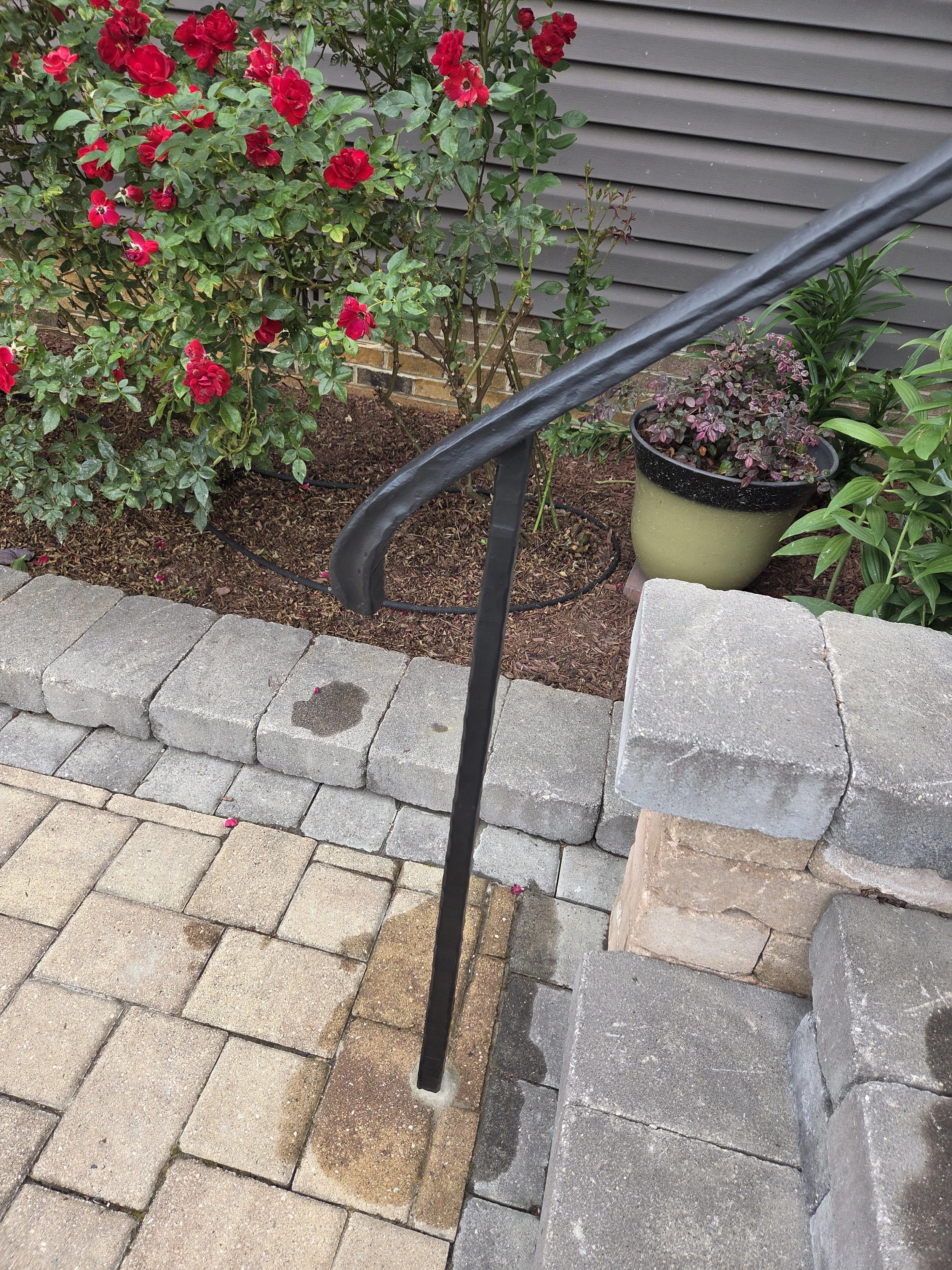 Stop and see the Roses
