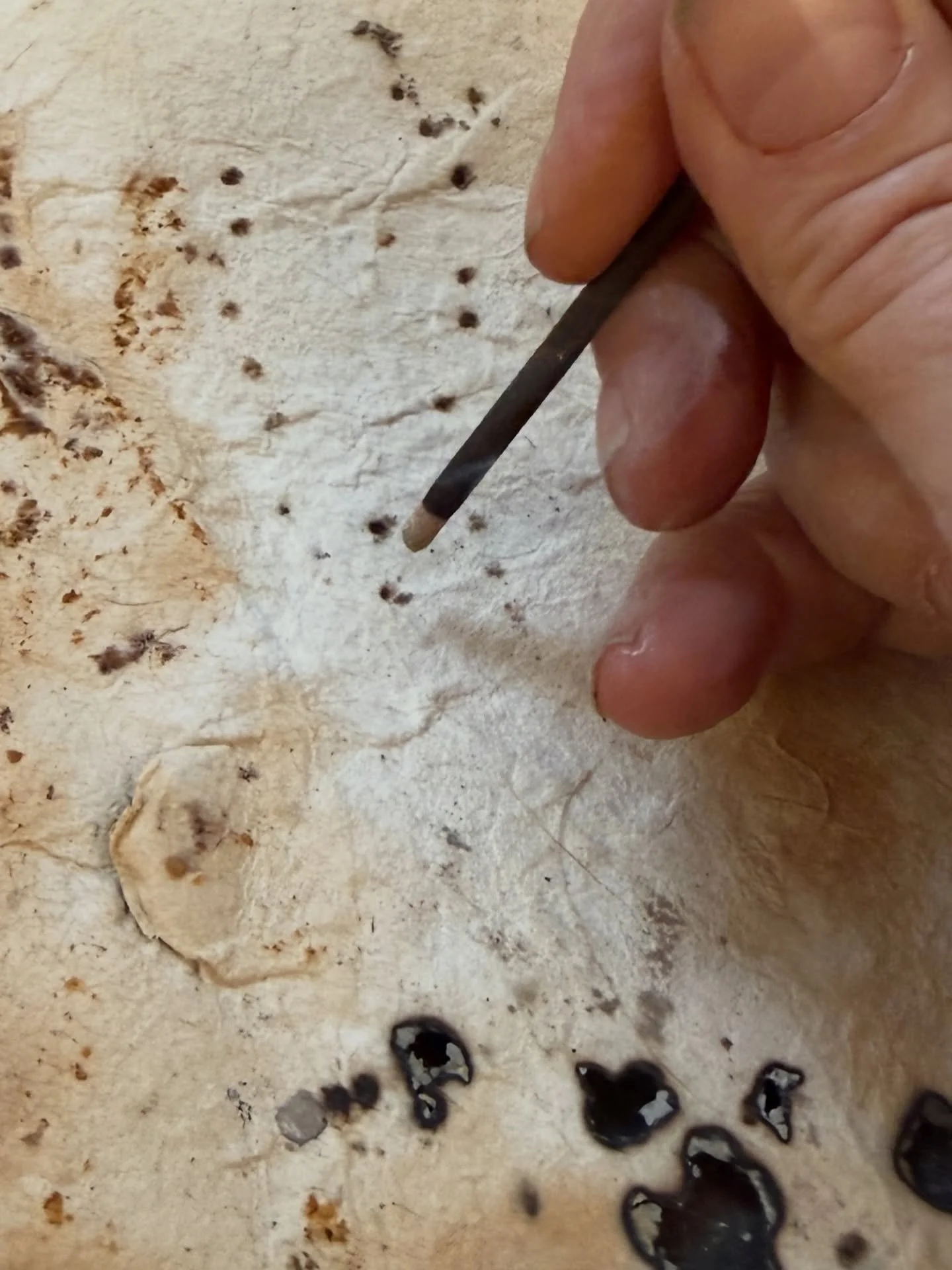 Working directly with the surface.

Burning, staining, watching what holds and what doesn&rsquo;t.

Not trying to control it&mdash;just paying attention.

Stay with the work long enough for something real to emerge.

#mixedmedia
#contemporaryart
#pai