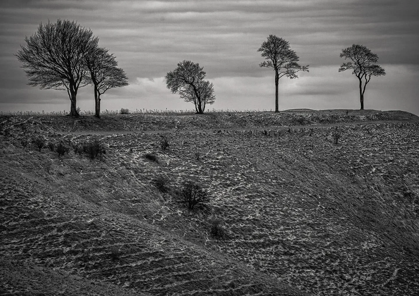 Great to be out again exploring in the cold. Disappointed with the frost though! Will have to get out again soon!

#swindonphotosoc #swindon #devises #landscapephotography #blackandwhitephotography #wiltshirelife #swindonphotographer #morningphotogra